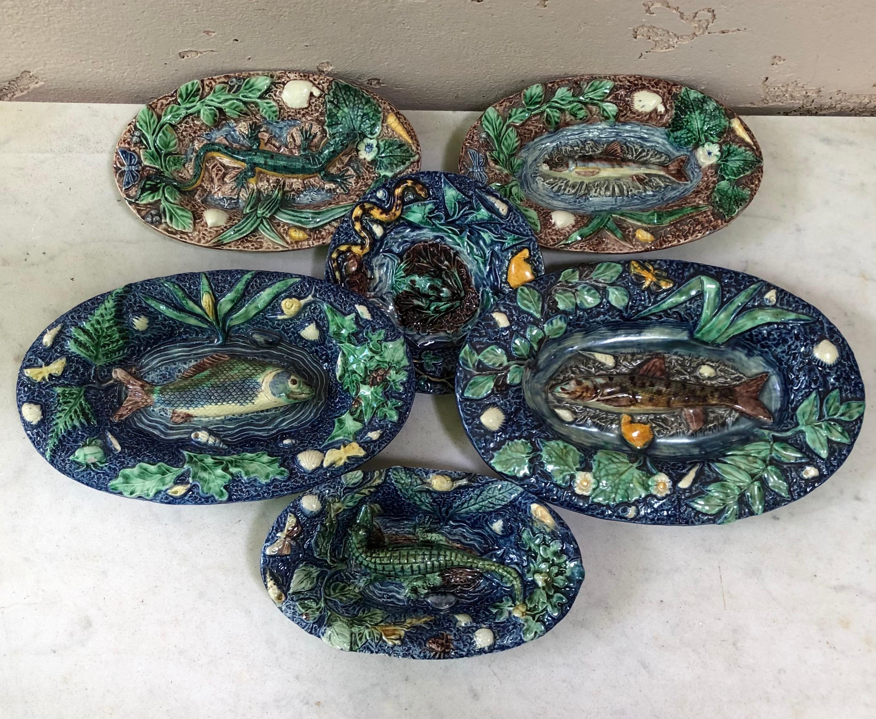 19th Century Large Majolica Palissy Fishs Wall Platter For Sale 2