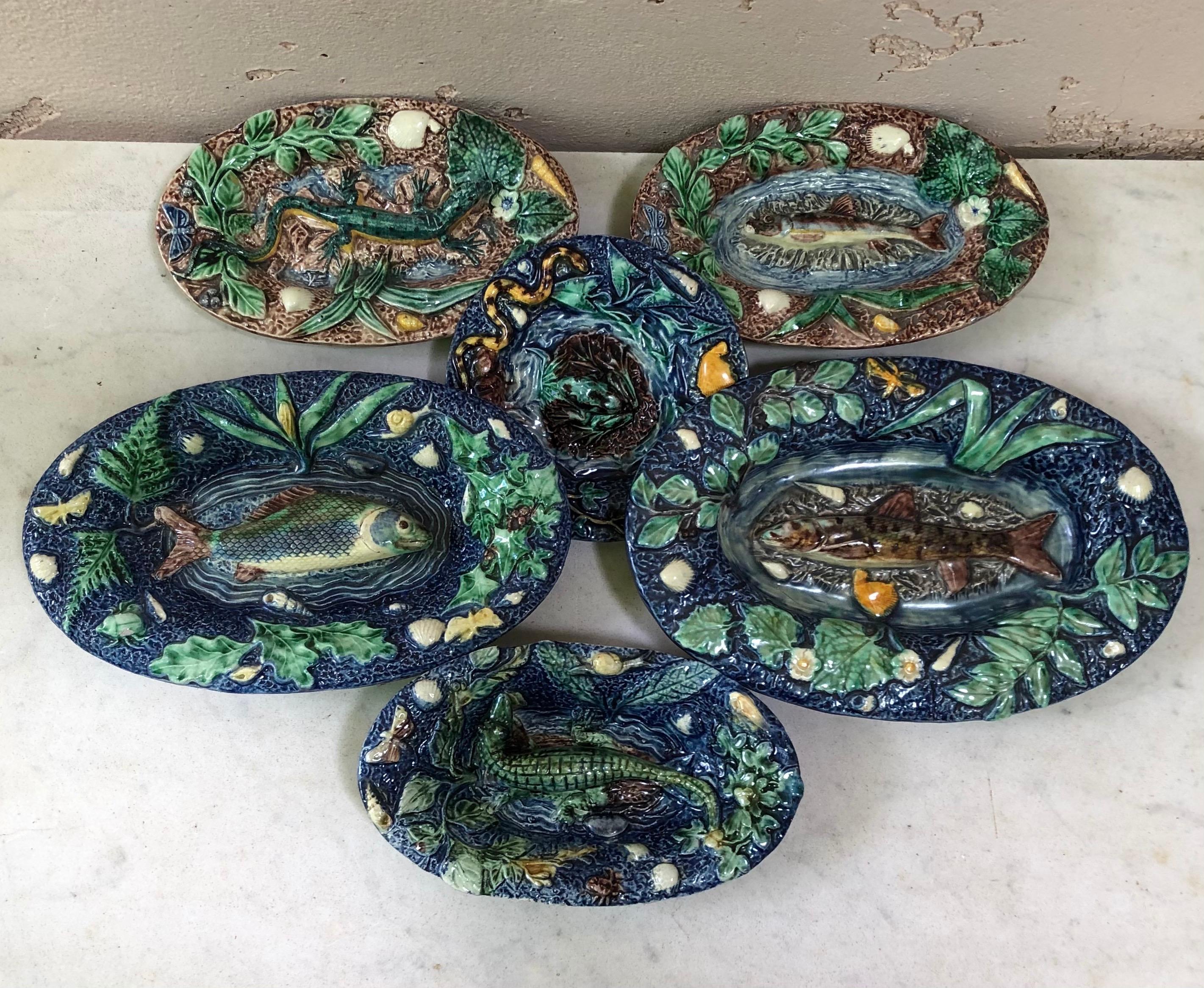 19th Century Majolica Palissy Fish Platter Thomas Sergent 8