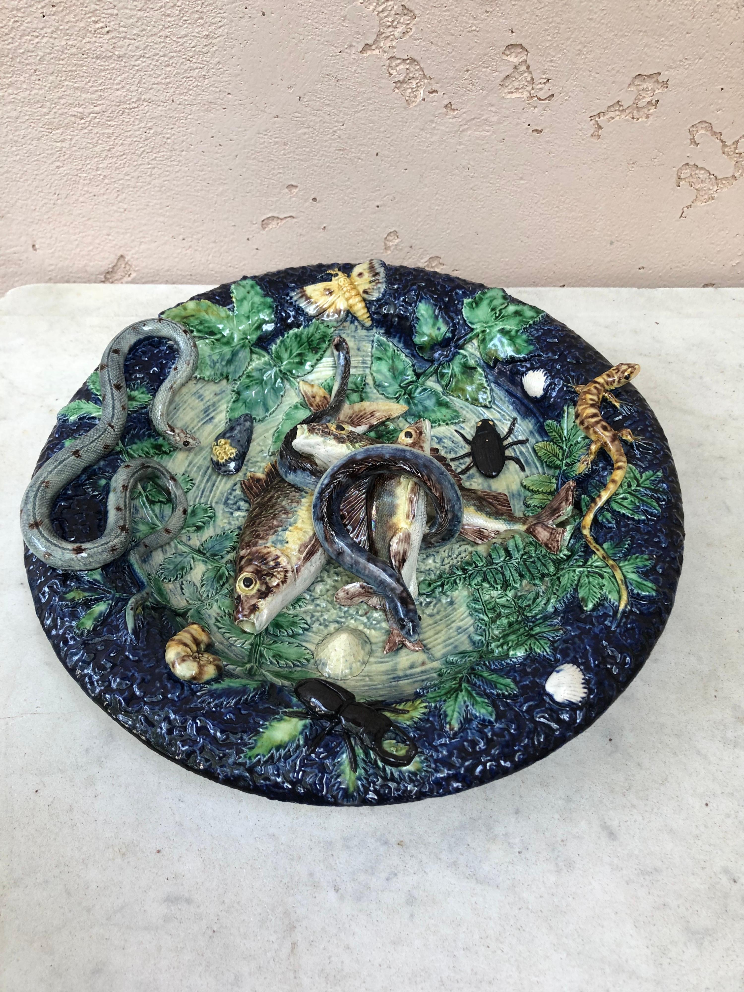 Victorian 19th Century Majolica Palissy Fishs Wall Platter by Victor Barbizet