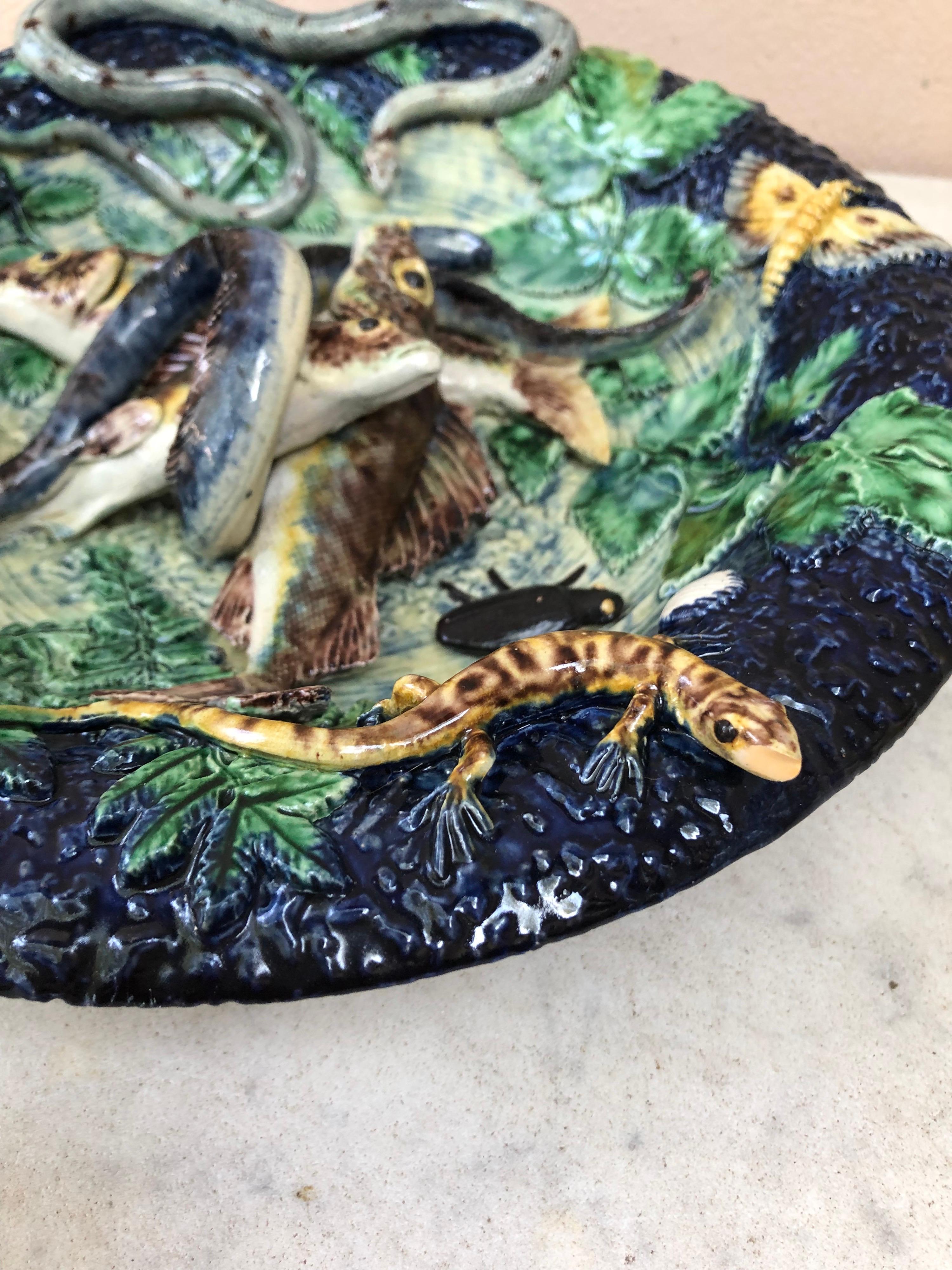 19th Century Majolica Palissy Fishs Wall Platter by Victor Barbizet 2