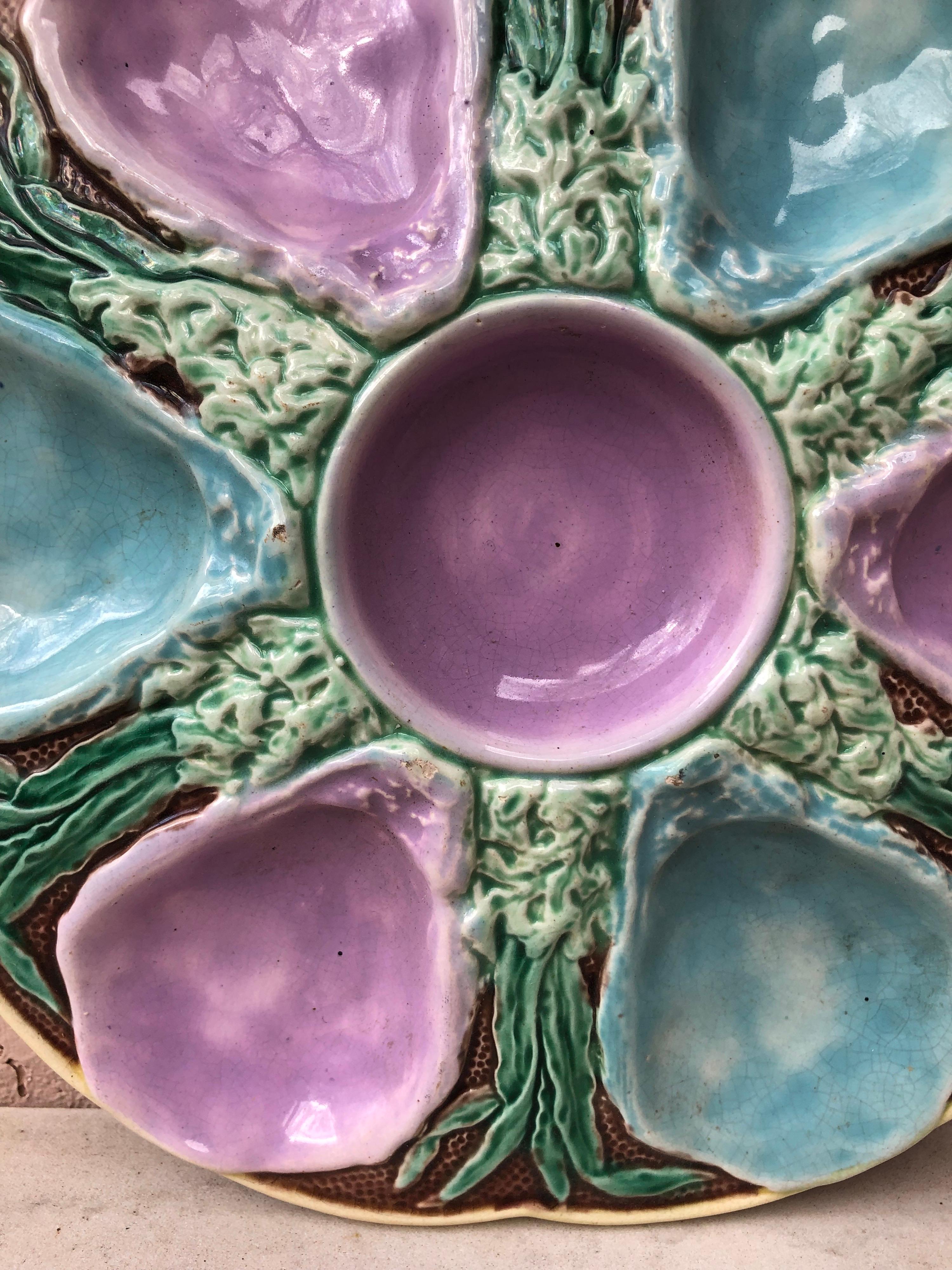 19th English Majolica Turquoise and Pink Oyster Plate In Good Condition In Austin, TX