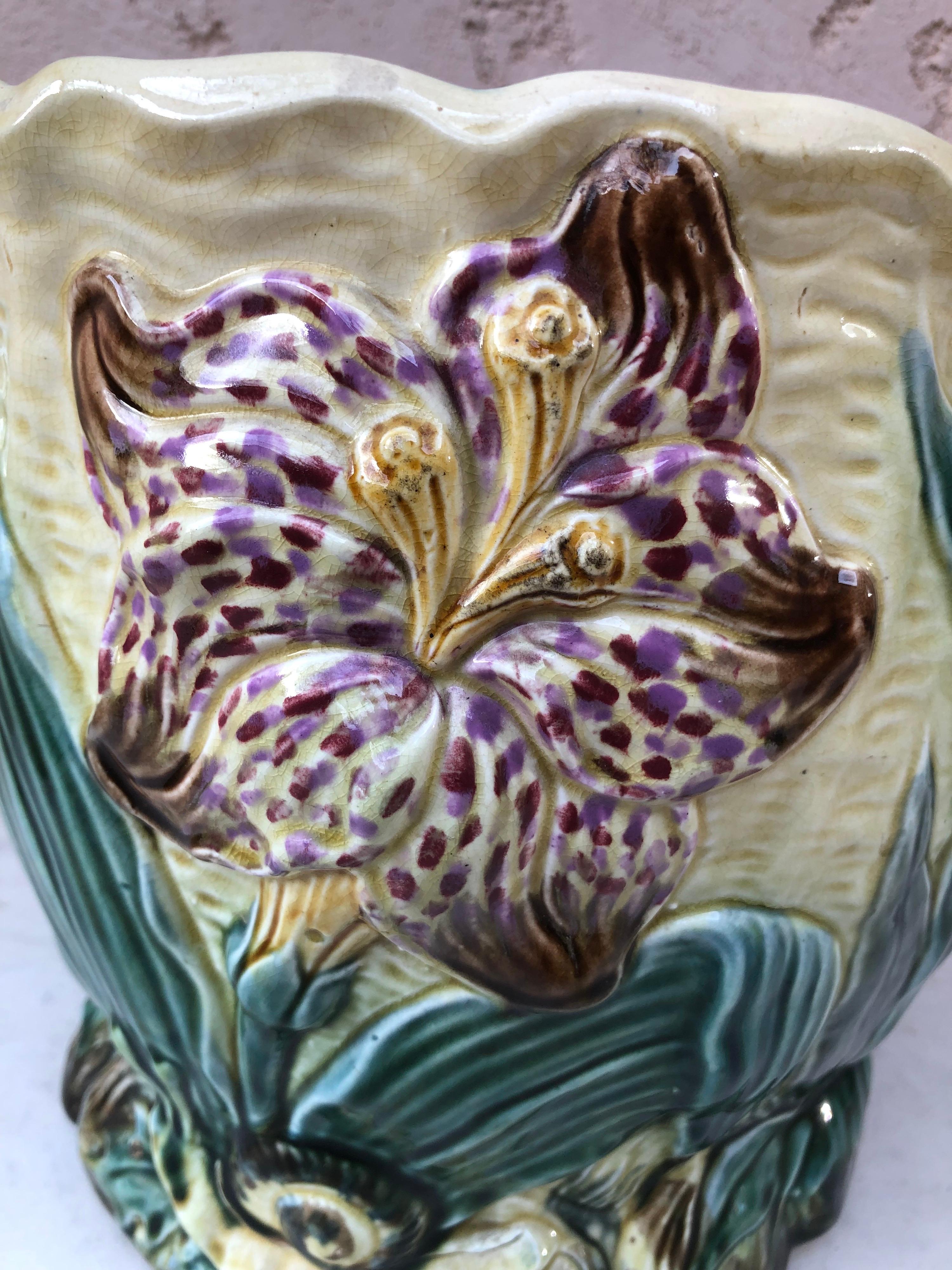 Belgian 19th Century Majolica Jardinière Flower and Snail Wasmuel For Sale