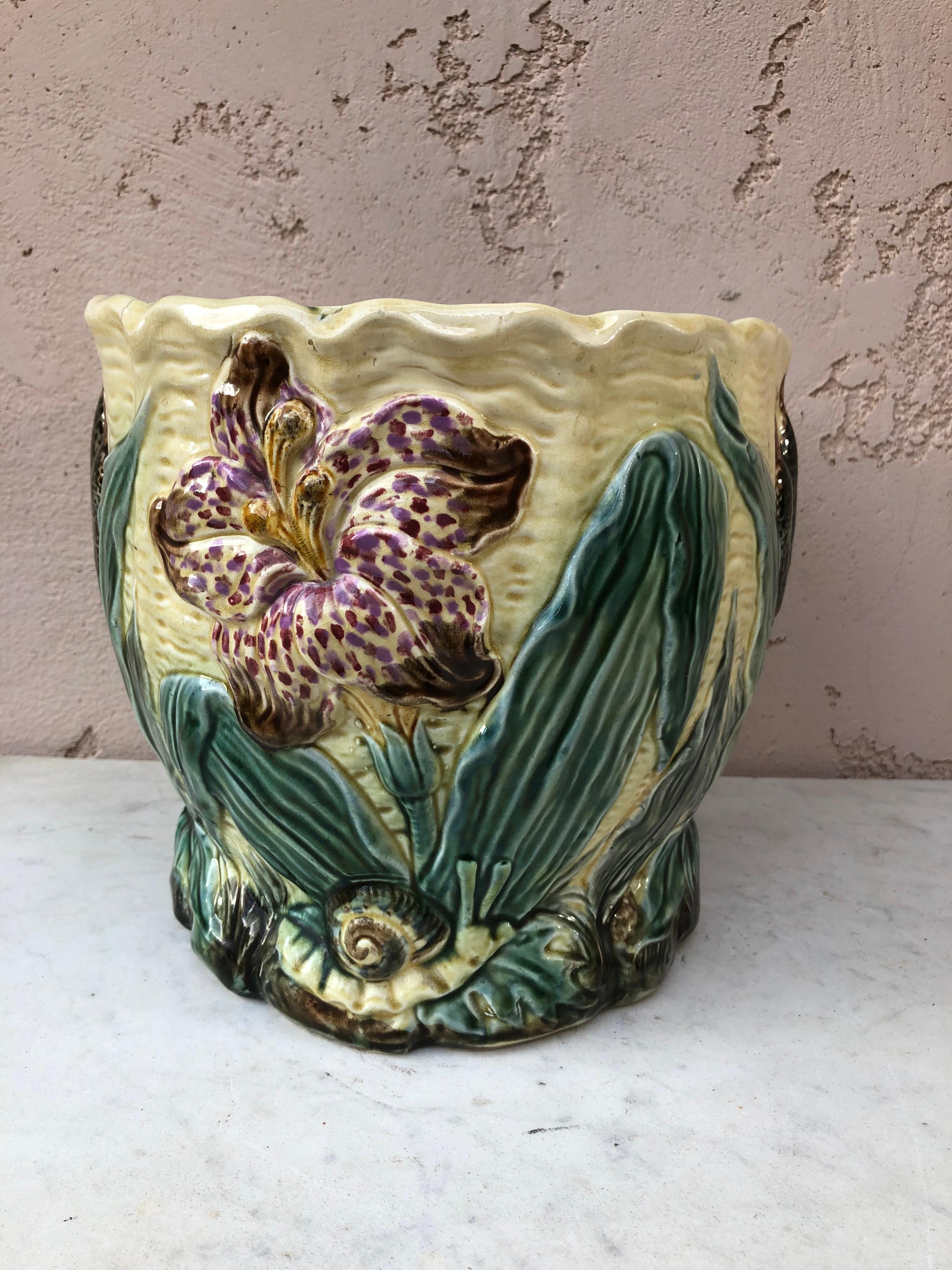 Unusual 19th century planter or cachepot jardinière flower and snail Wasmuel.