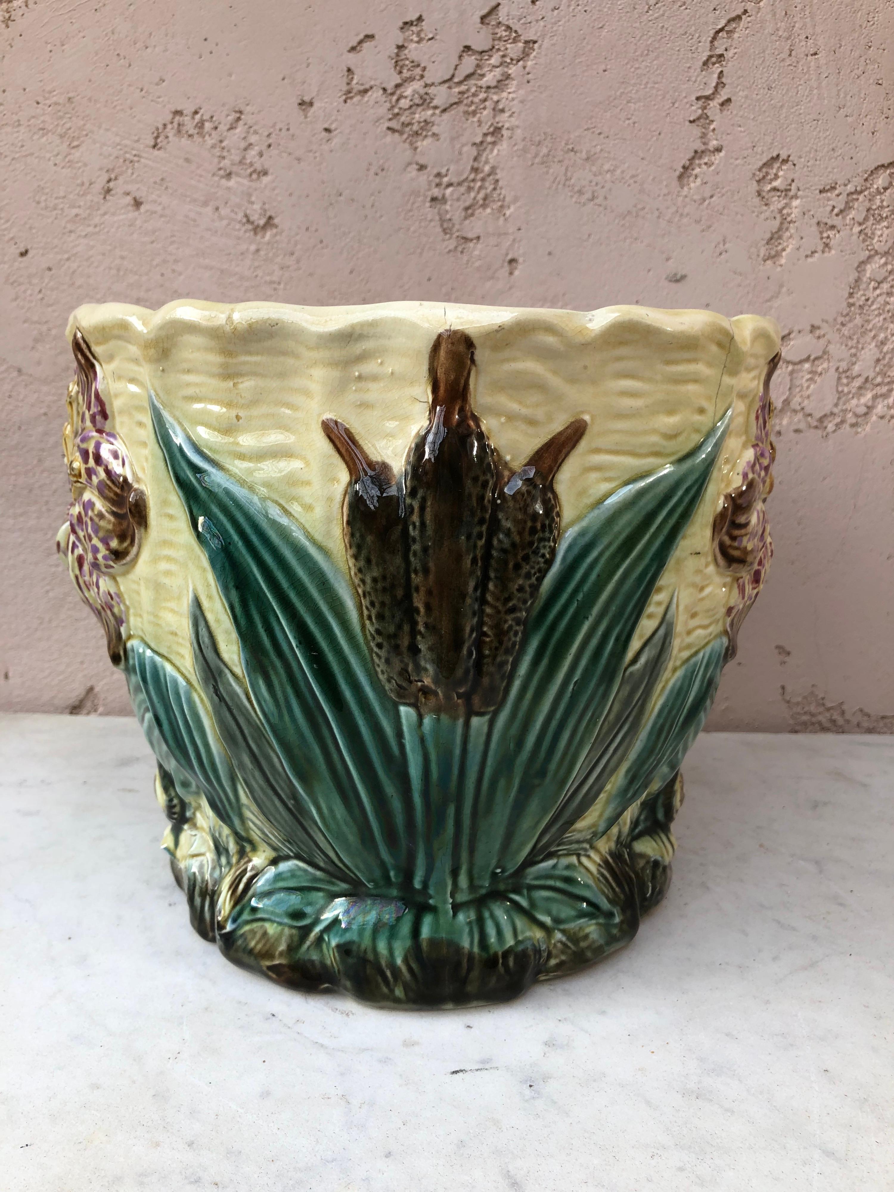 Rustic 19th Century Majolica Jardinière Flower and Snail Wasmuel For Sale