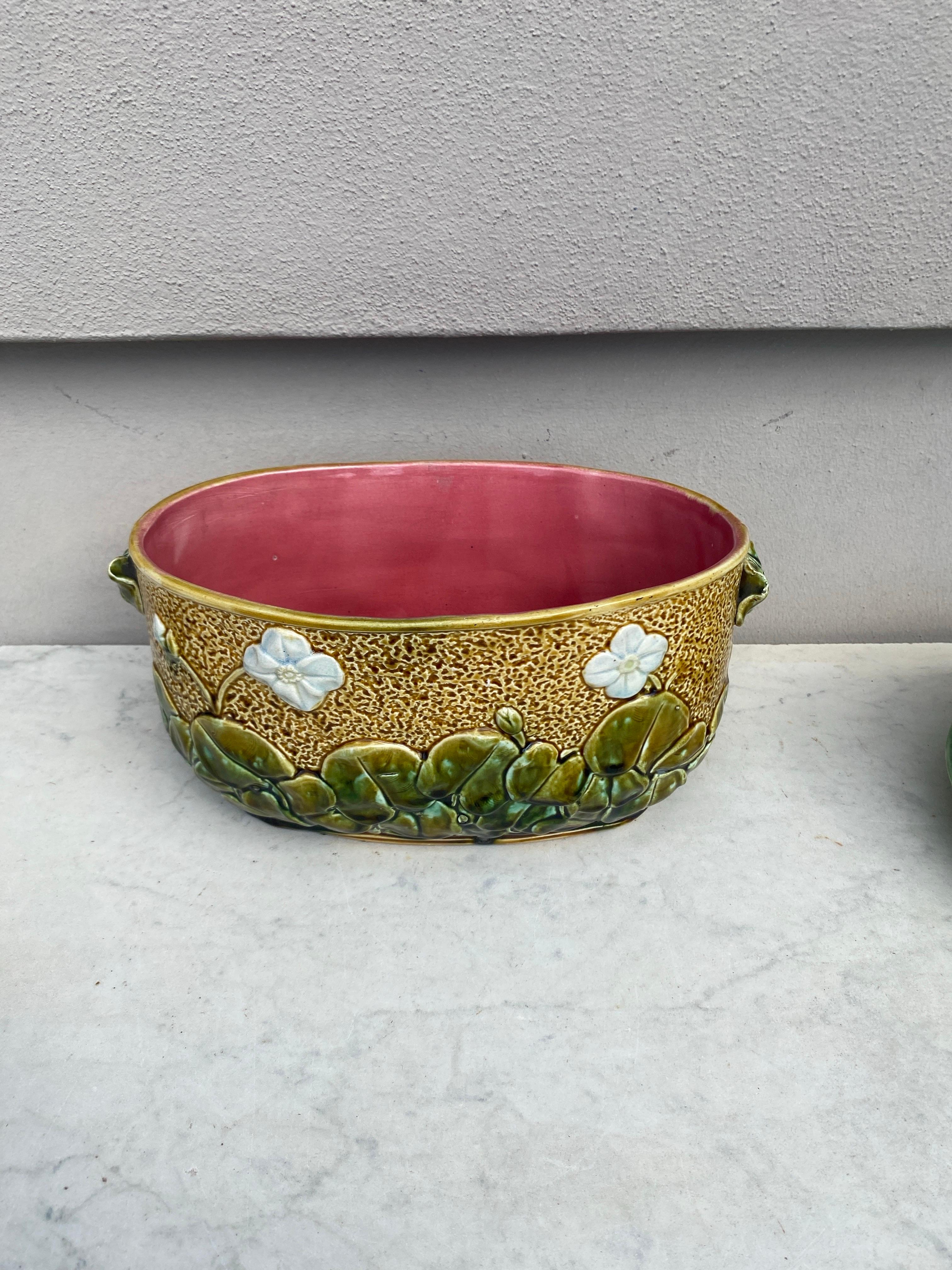 Ceramic French Majolica White Flowers Jardinière, circa 1880 For Sale