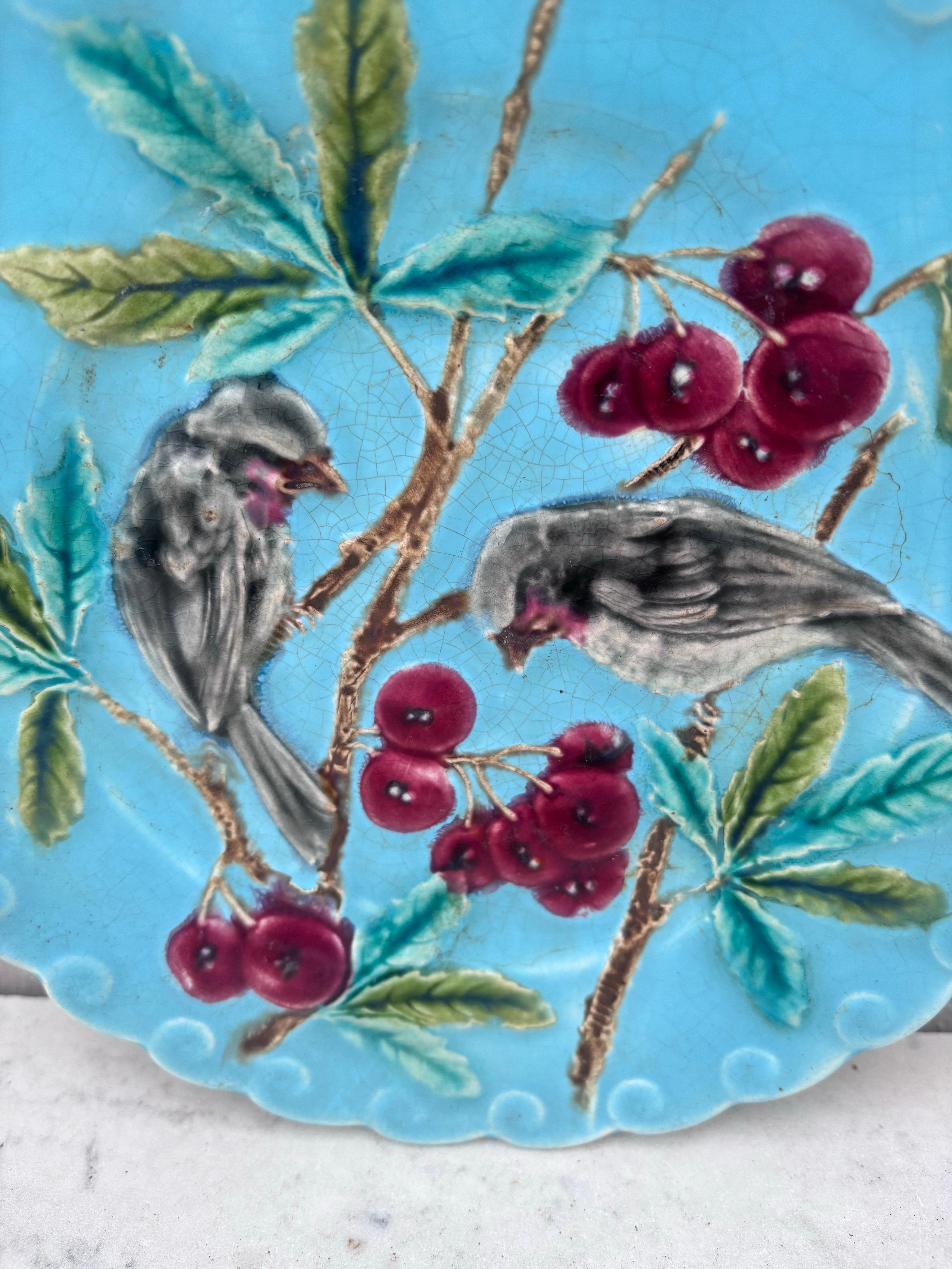Late 19th Century French Majolica Bird & Cherries Plate Sarreguemines, circa 1880 For Sale