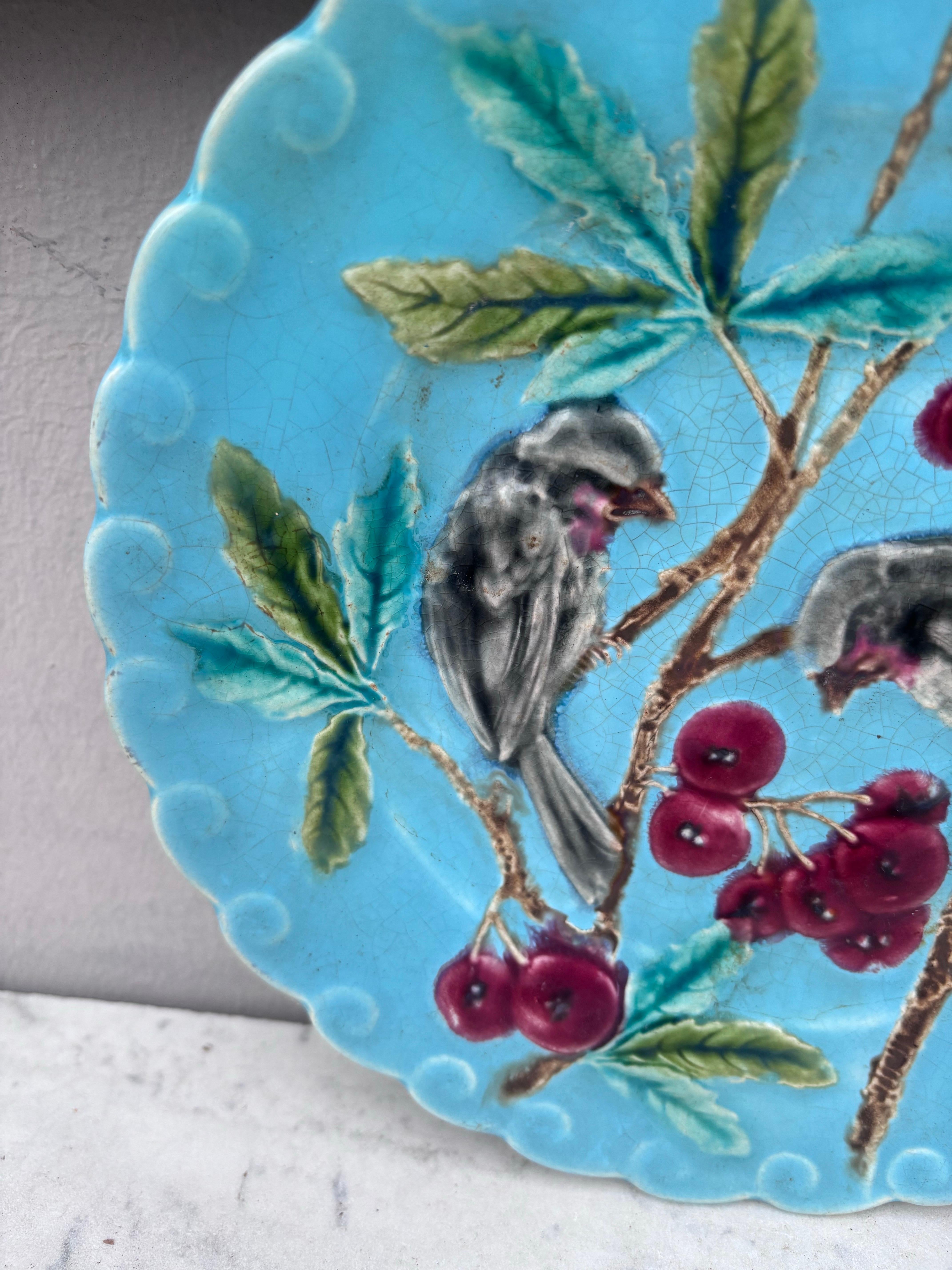 Ceramic French Majolica Bird & Cherries Plate Sarreguemines, circa 1880 For Sale