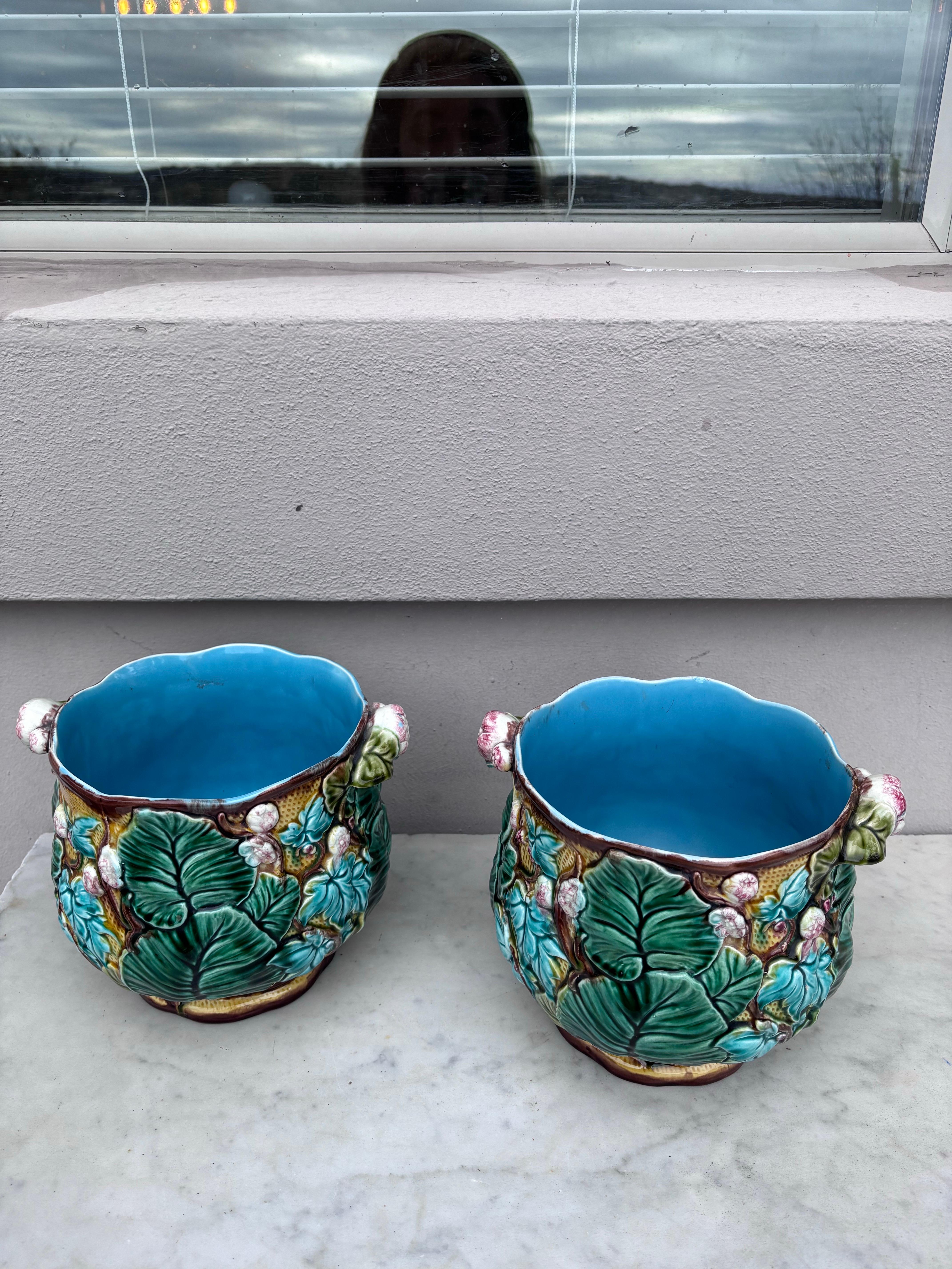 Paire de pots en majolique à fleurs et feuilles en Cache Luneville Circa 1890 en vente 2