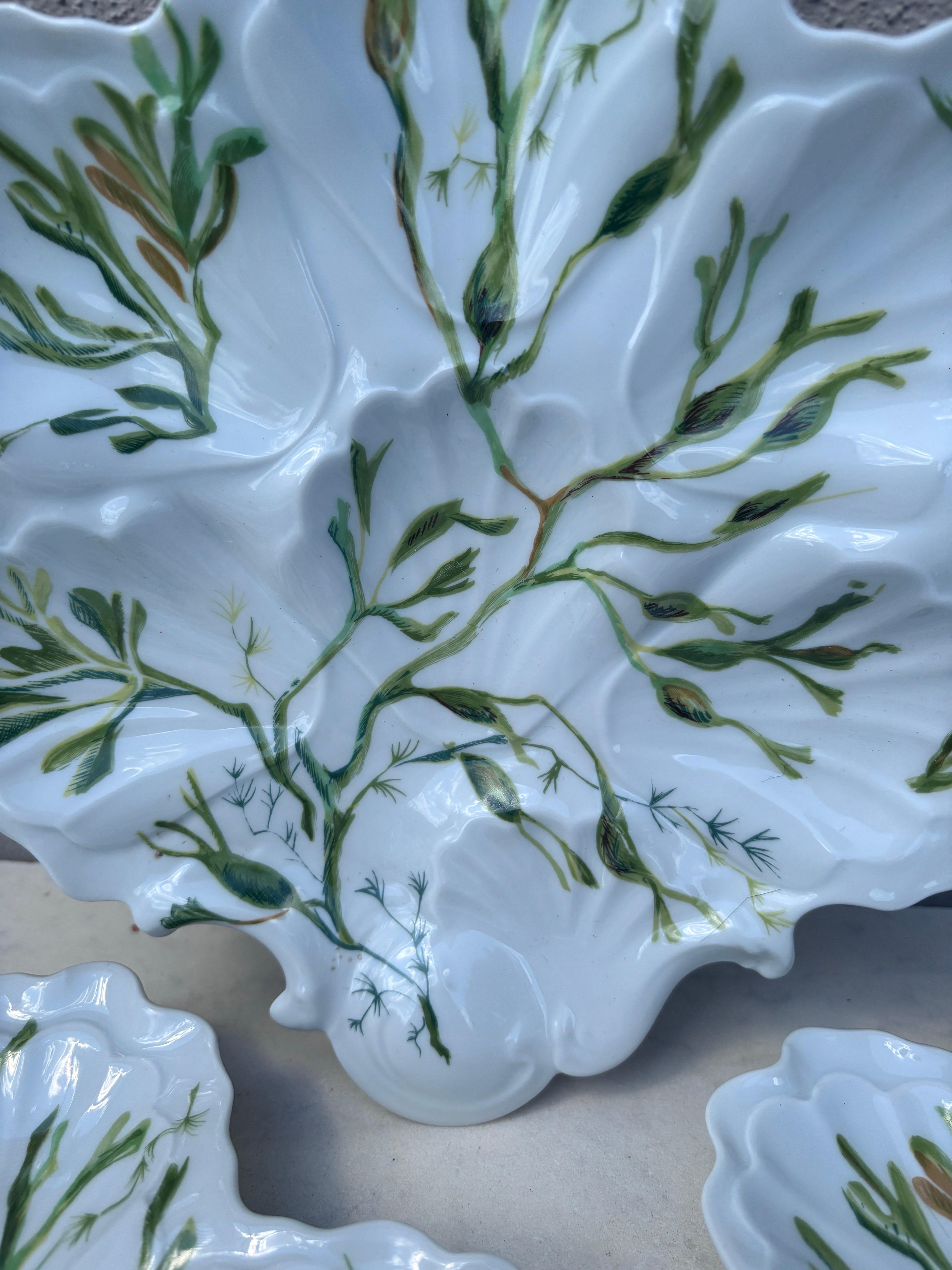 Français Assiette à huîtres en porcelaine avec algues Limoges, vers 1900 en vente