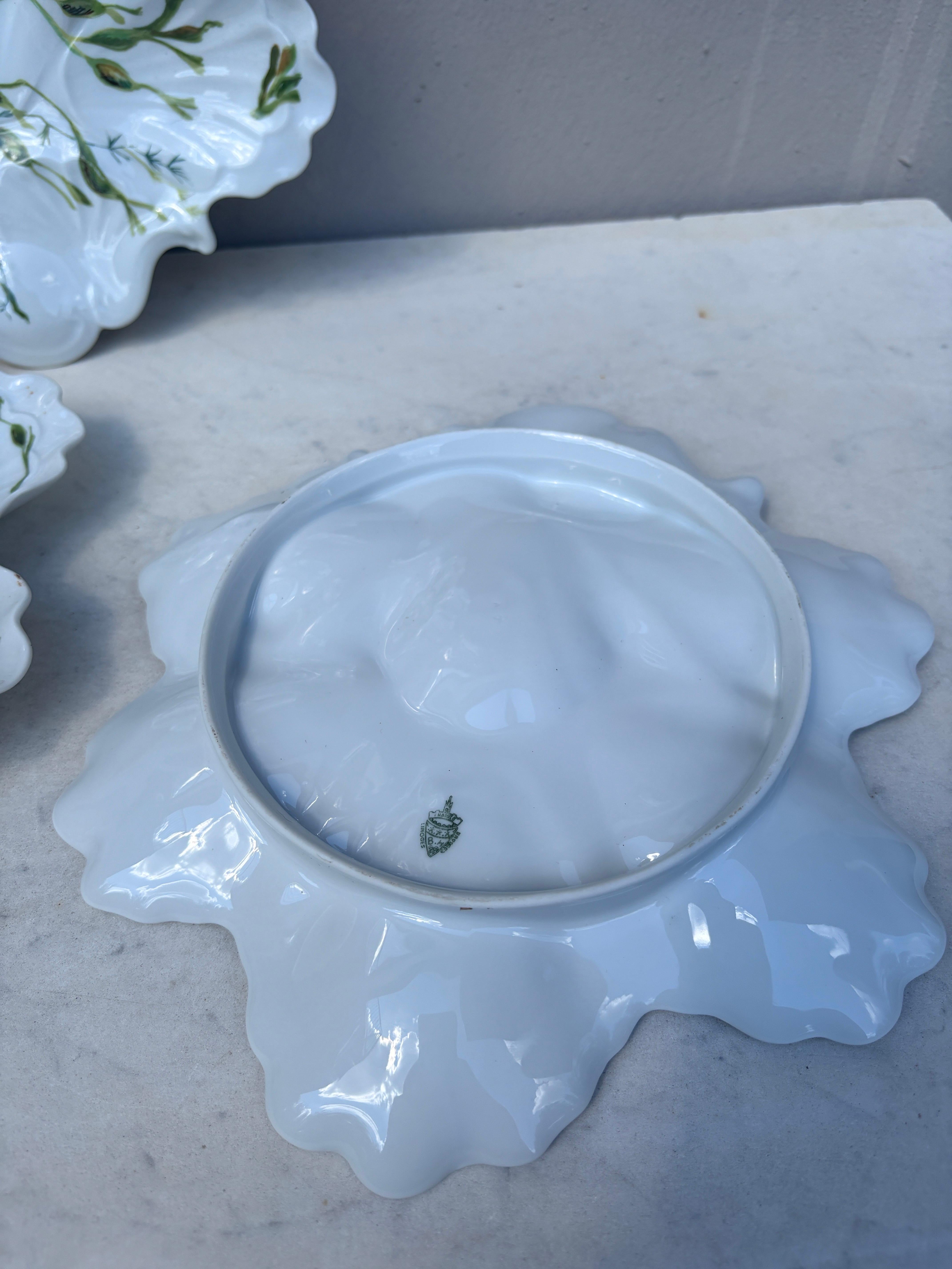 Porcelaine Assiette à huîtres en porcelaine avec algues Limoges, vers 1900 en vente