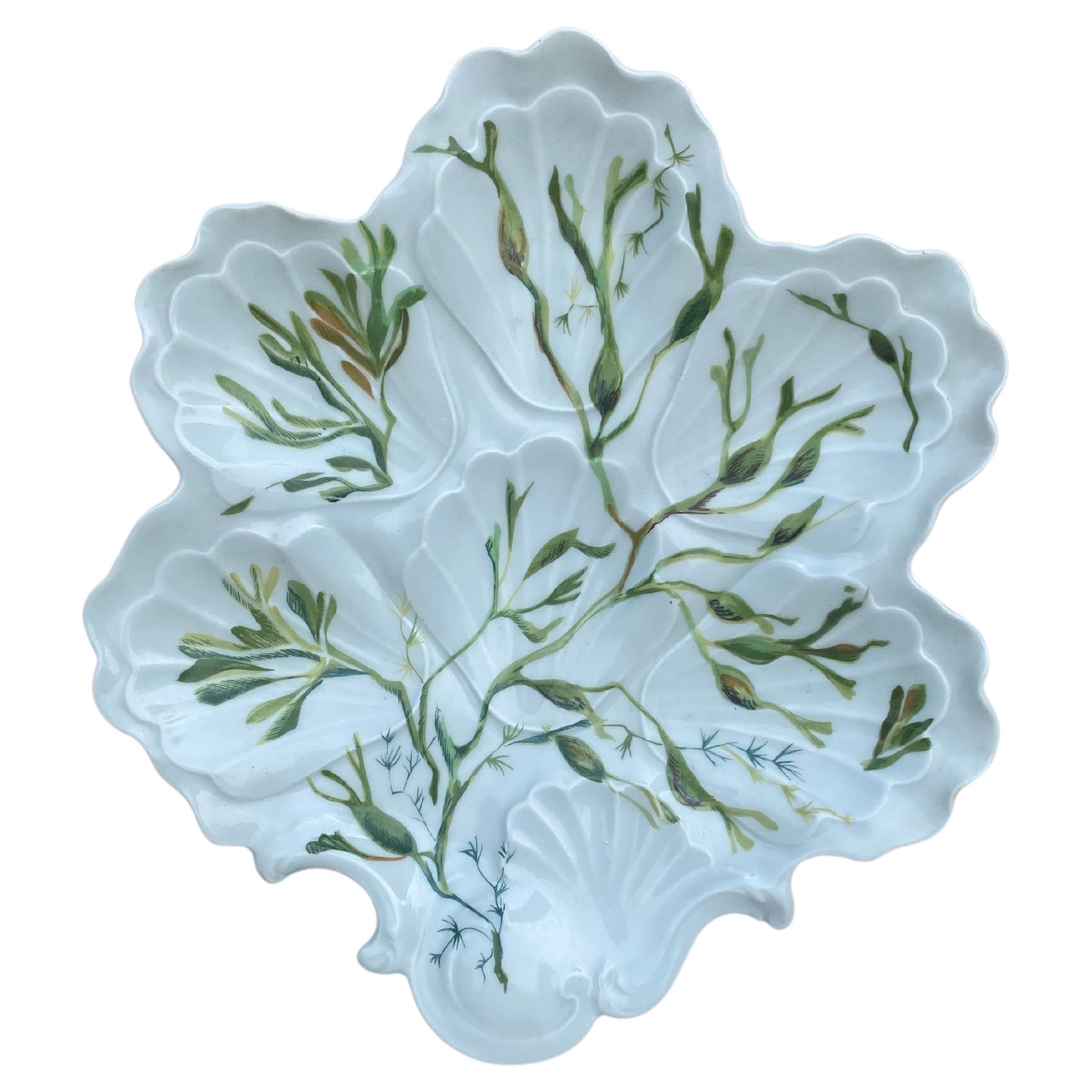 Porcelain Oyster Plate with Seaweeds Limoges, circa 1900 For Sale
