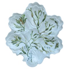 Antique Porcelain Oyster Plate with Seaweeds Limoges, circa 1900