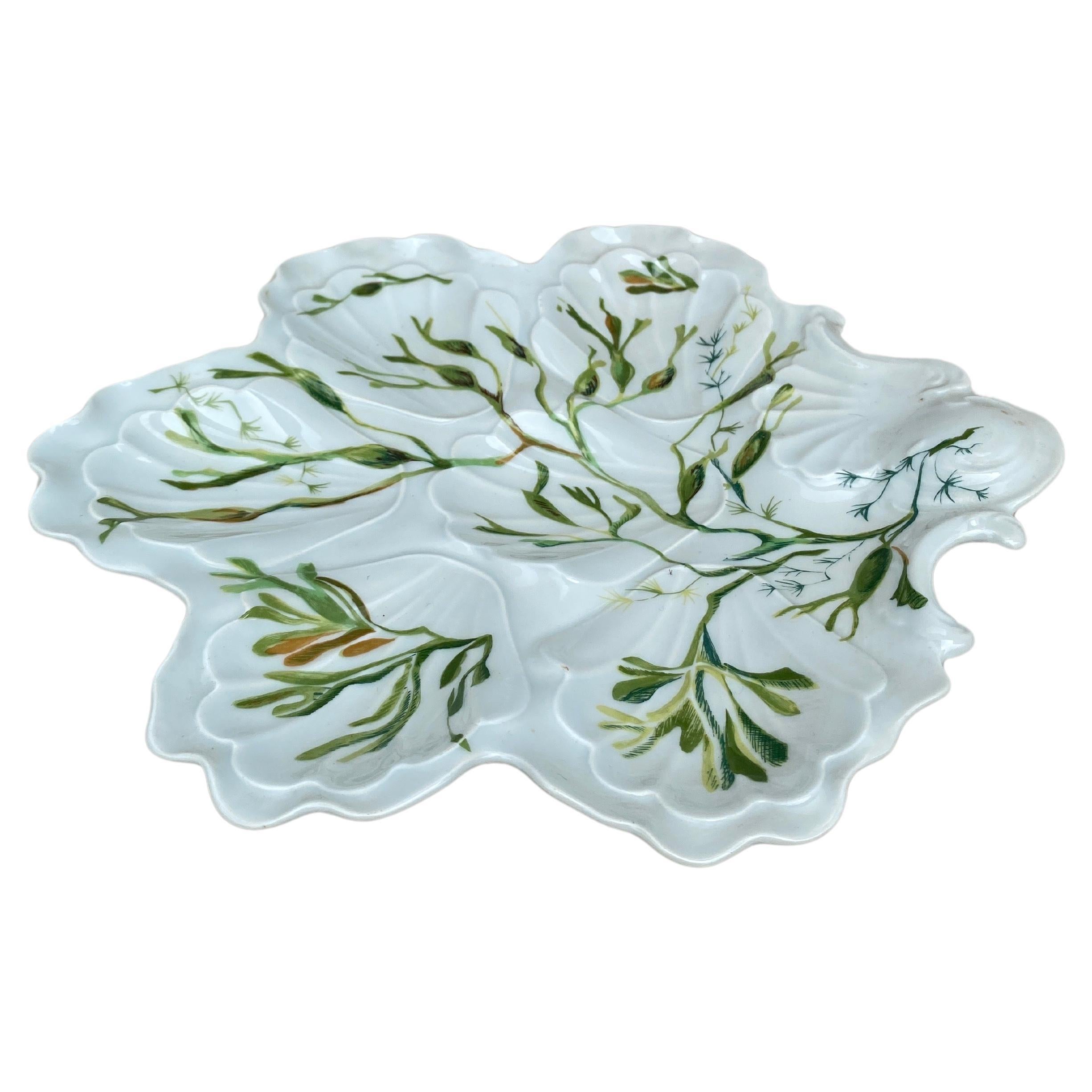 French porcelain oyster plate with seaweeds Limoges, circa 1900.
   