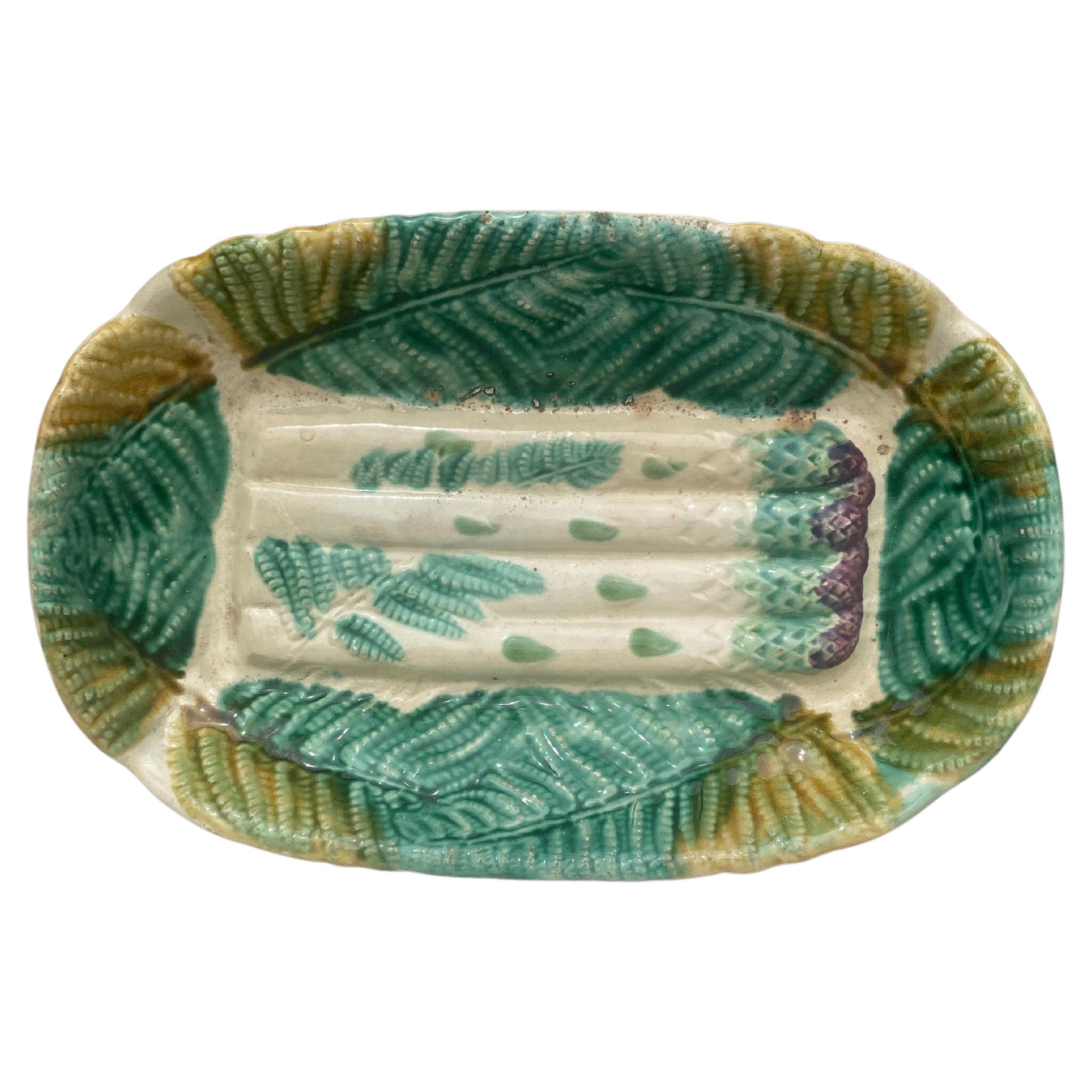 Majolica Asparagus Platter Salins with Ferns, circa 1880 For Sale