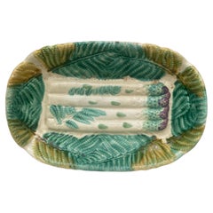 Majolica Asparagus Platter Salins with Ferns, circa 1880