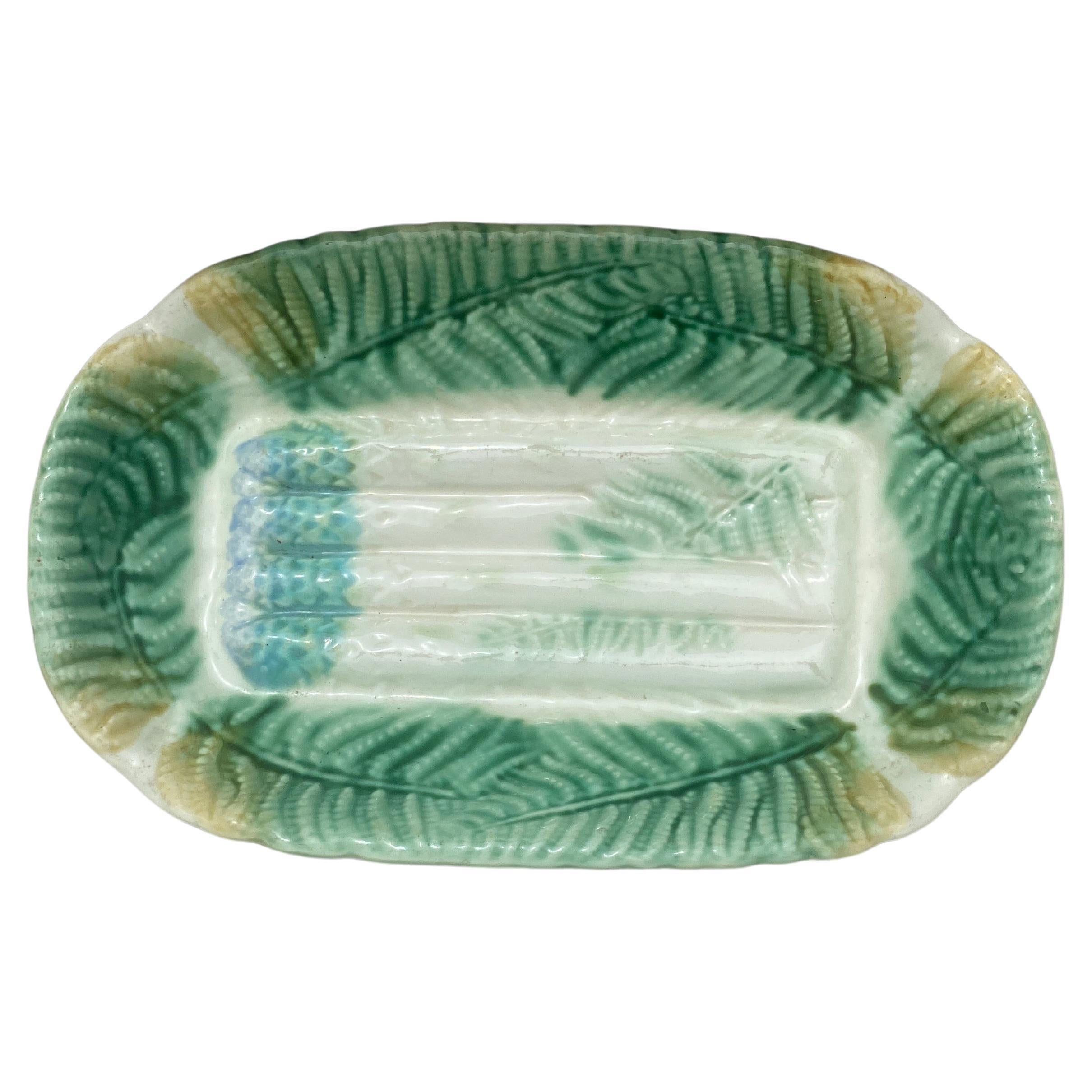 Majolica Asparagus Platter Salins with Ferns, circa 1880 For Sale