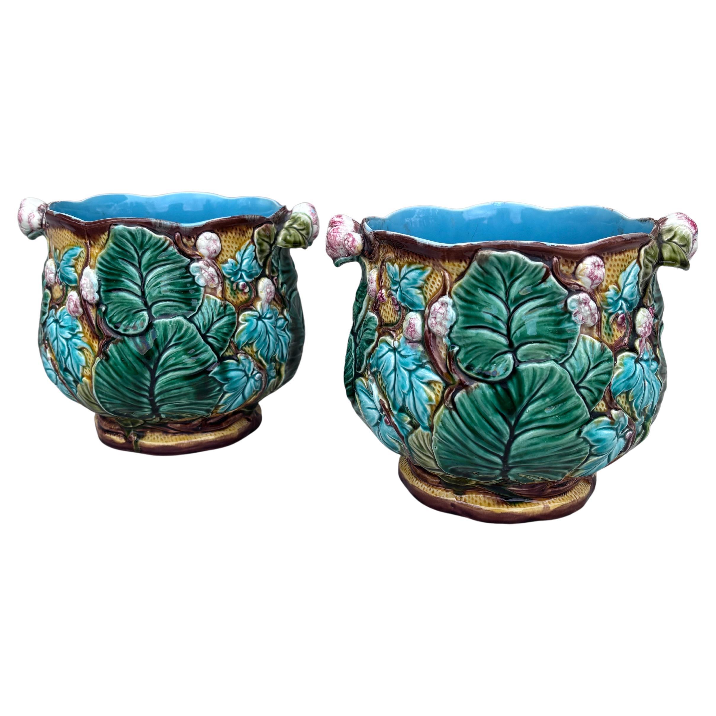 Paire de pots en majolique à fleurs et feuilles en Cache Luneville Circa 1890 Bon état - En vente à Austin, TX