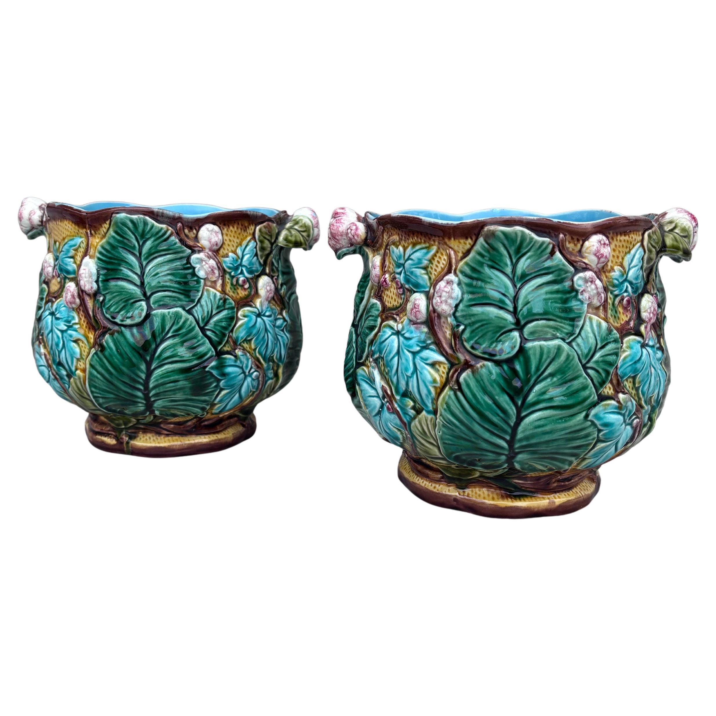 Paire de pots en majolique à fleurs et feuilles en Cache Luneville Circa 1890