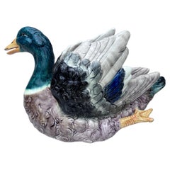 Large Majolica Duck Jardiniere Delphin Massier, circa 1890