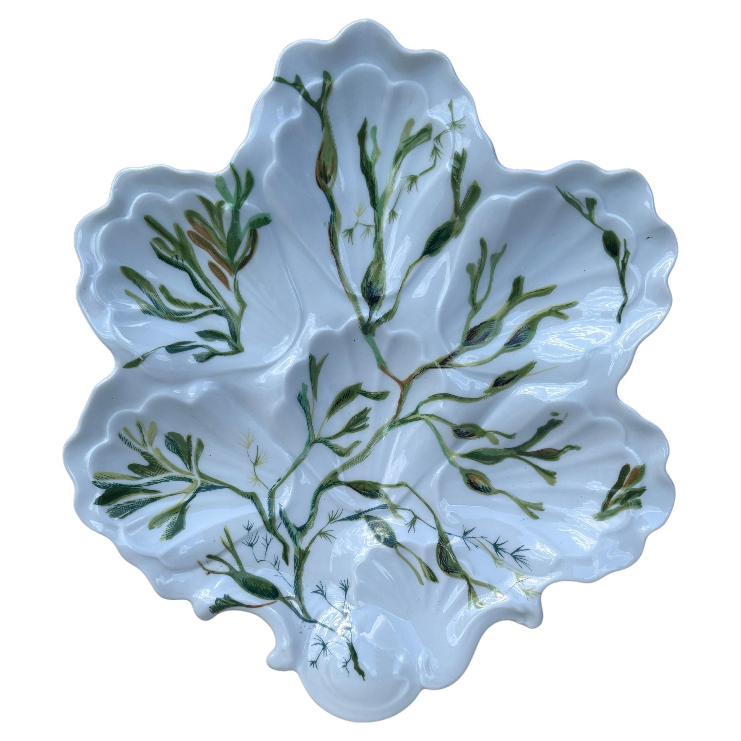 Assiette à huîtres en porcelaine française avec algues Limoges, vers 1900.
12 assiettes disponibles 