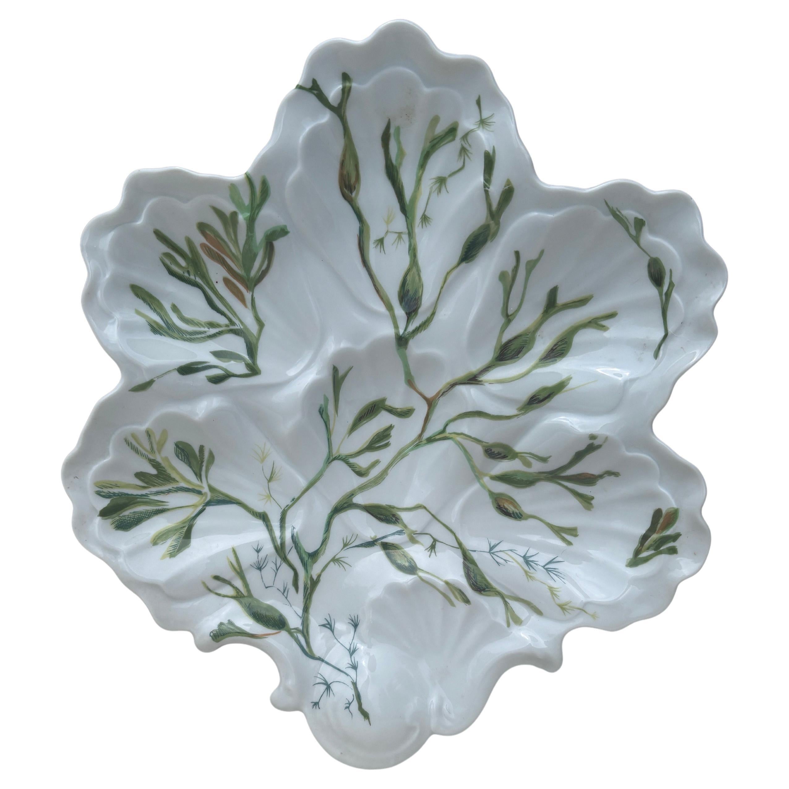 Porcelain Oyster Plate with Seaweeds Limoges, circa 1900
