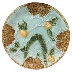 Majolica Parakeets Plate Salins, circa 1890