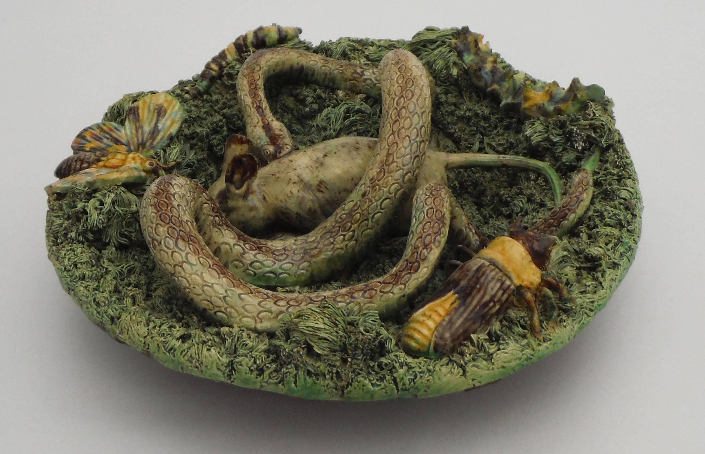 Antique Majolica Palissy Portuguese wall platter signed Jose Alves Cunha, very unusual piece with a rat bitten by a large snake, caterpillar, butterfly and worm, circa 1880.