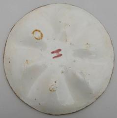 19th Century Majolica Pink and Purple Oyster Plate S.Fielding and Co