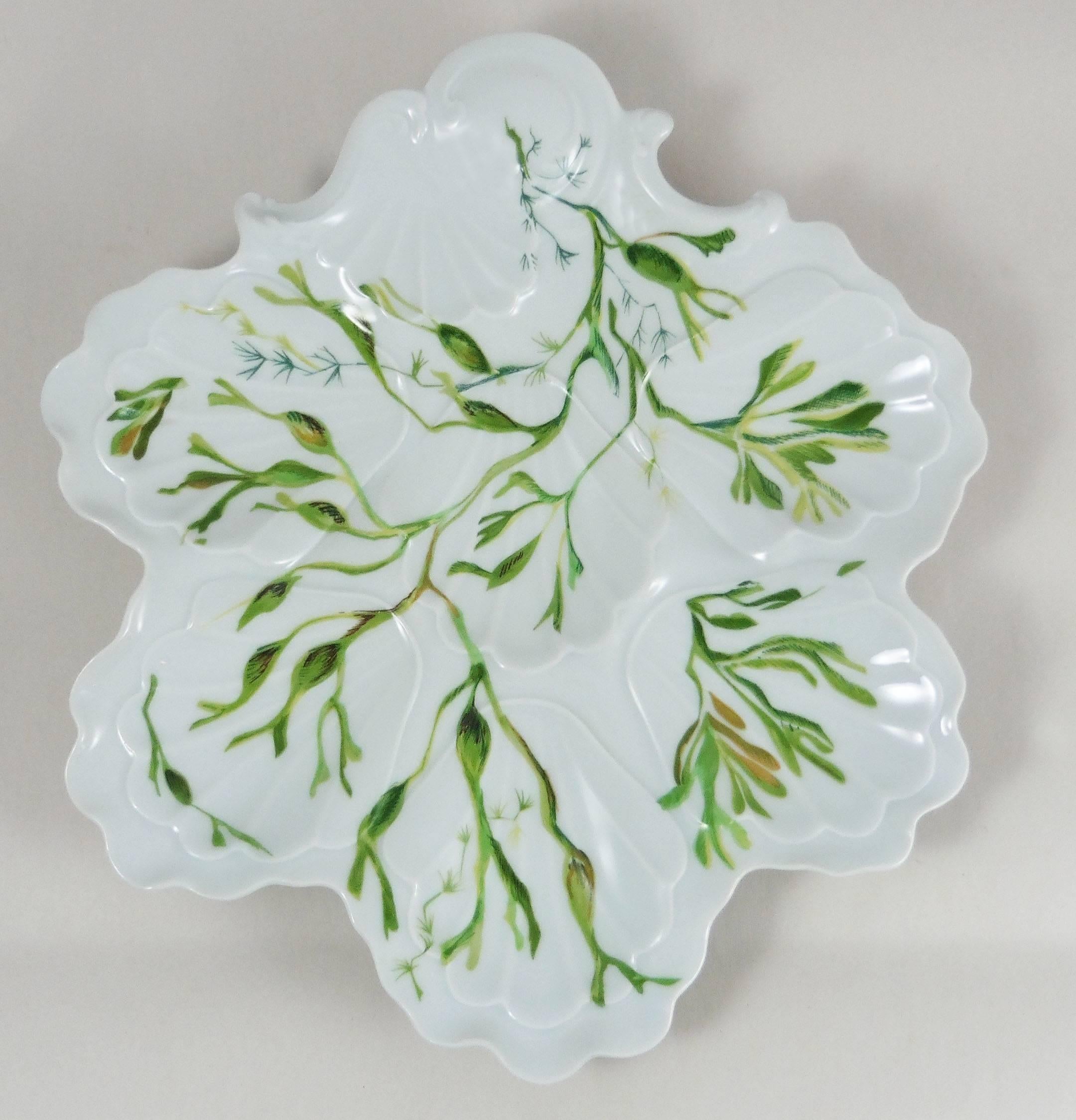 Porcelain oyster plate with seaweeds Limoges, circa 1900.
Two plates are available.