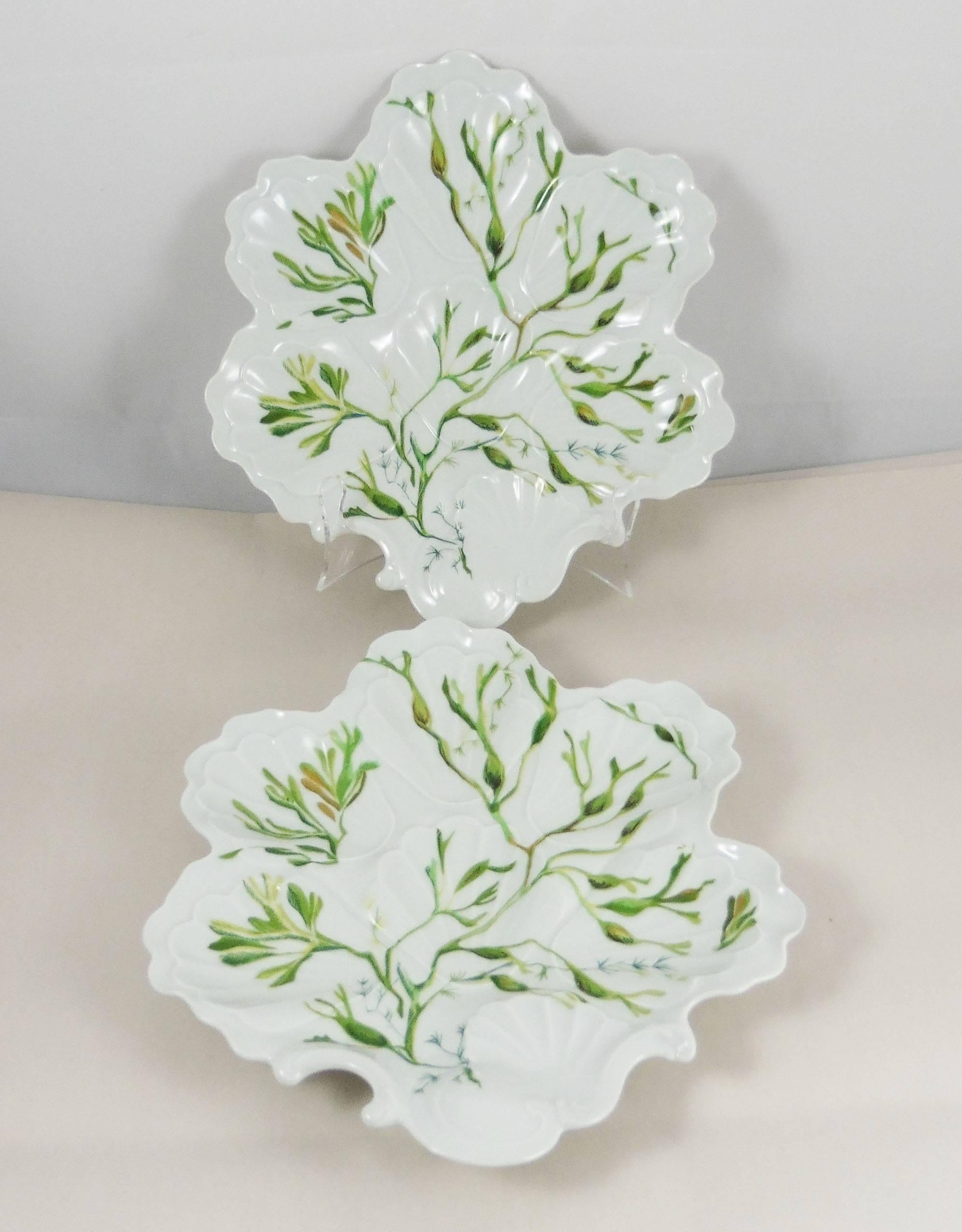 Porcelain Oyster Plate with Seaweeds Limoges, circa 1900 In Good Condition In Austin, TX