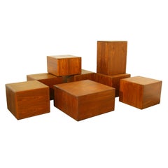 Sergio Rodrigues Exotic Wood Side Tables or Coffee Tables