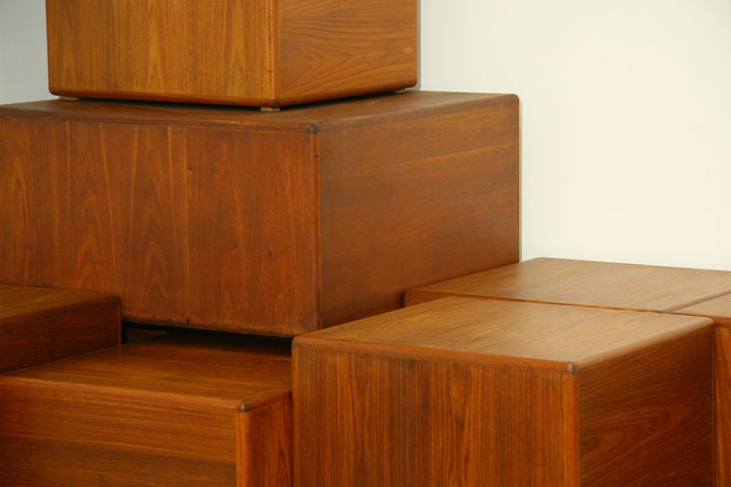 Mid-Century Modern Sergio Rodrigues Exotic Wood Side Tables or Coffee Tables For Sale
