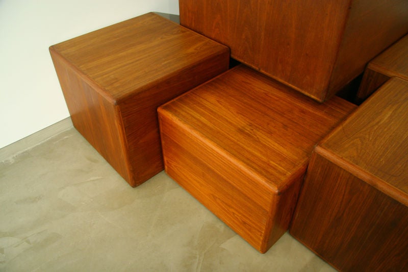 Sergio Rodrigues Exotic Wood Side Tables or Coffee Tables In Good Condition For Sale In Los Angeles, CA