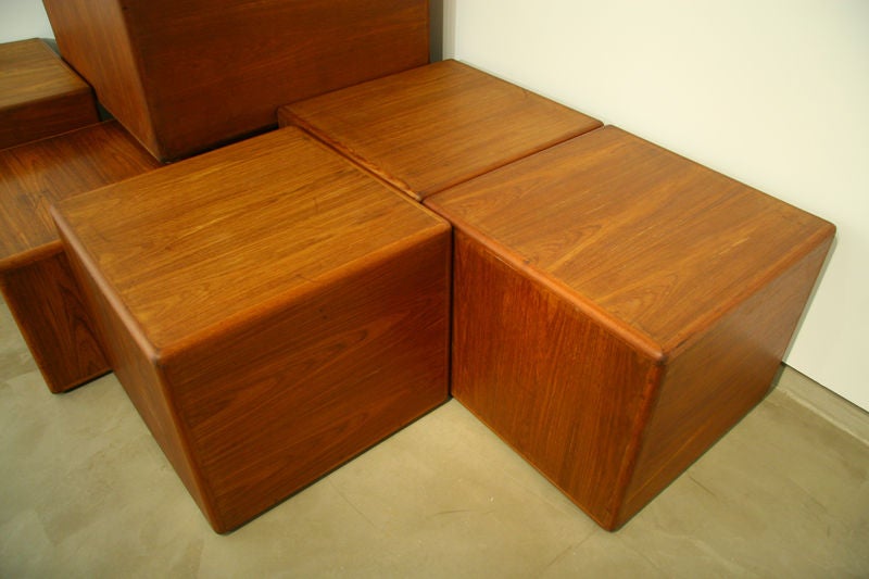 Sergio Rodrigues Exotic Wood Side Tables or Coffee Tables For Sale 1