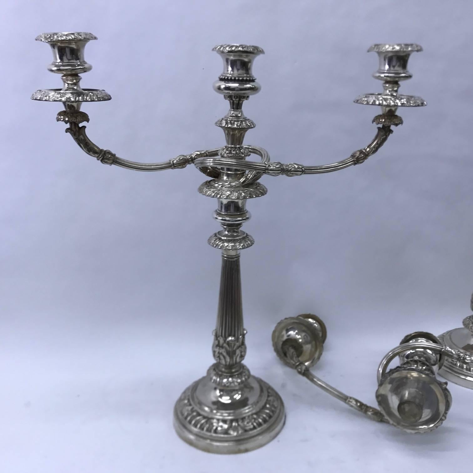 Mid-19th Century 1830 Pair of Matthew Boulton Candelabra in Sheffield Plate