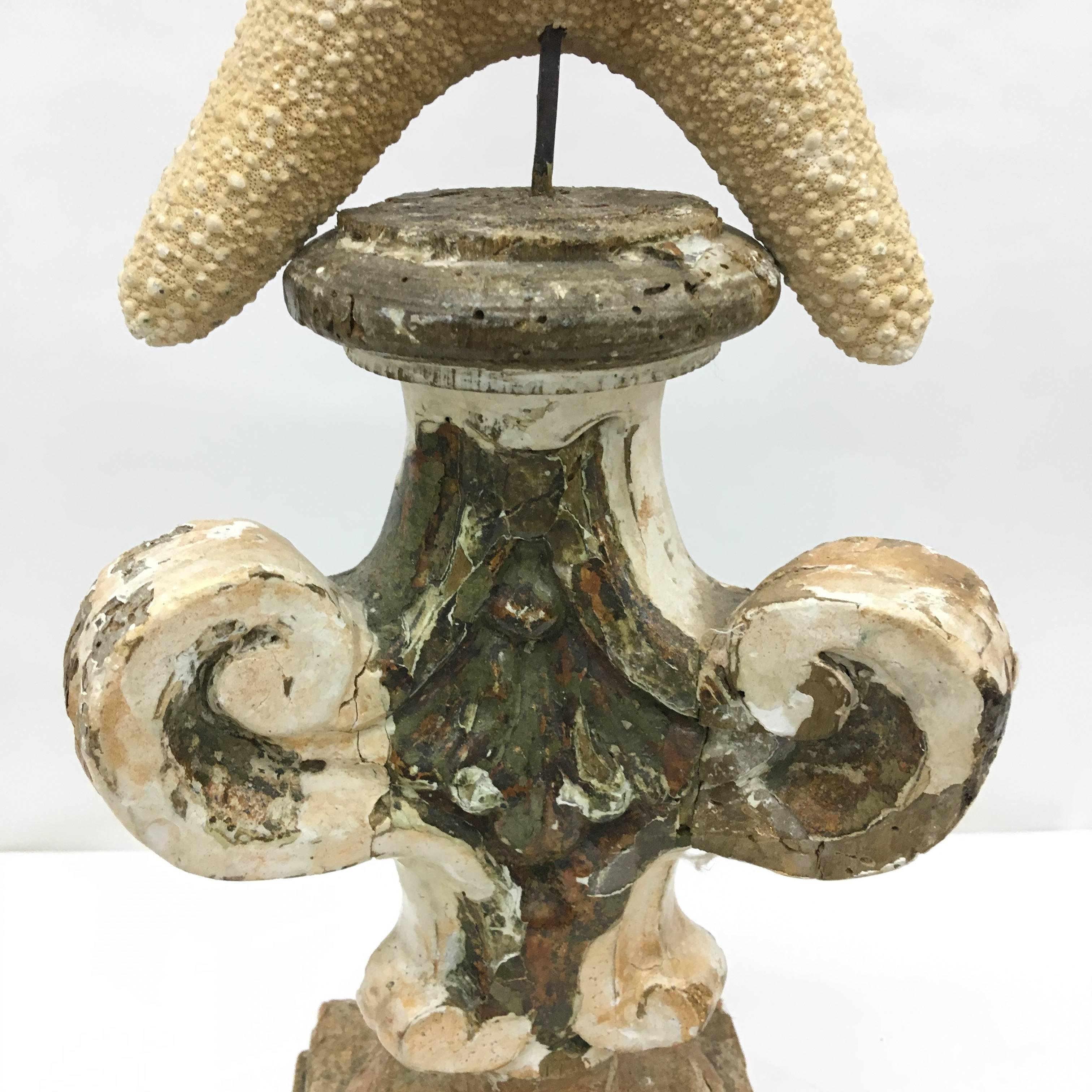 Baroque Antique Louis XIV Italian candelabra surmounted  by a Starfish Sicily circa 1700