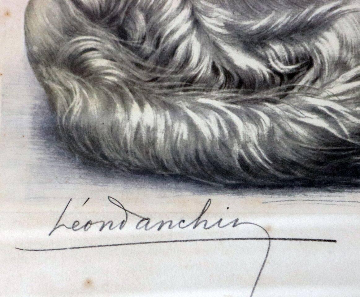leon danchin setters