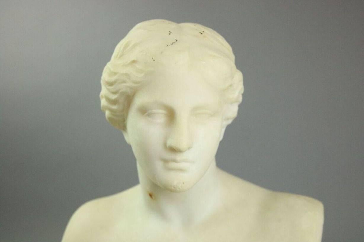 venus bust