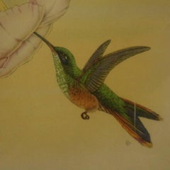 Pair of 19th Century Framed English J. Gould, Bird Study Prints, Hummingbirds