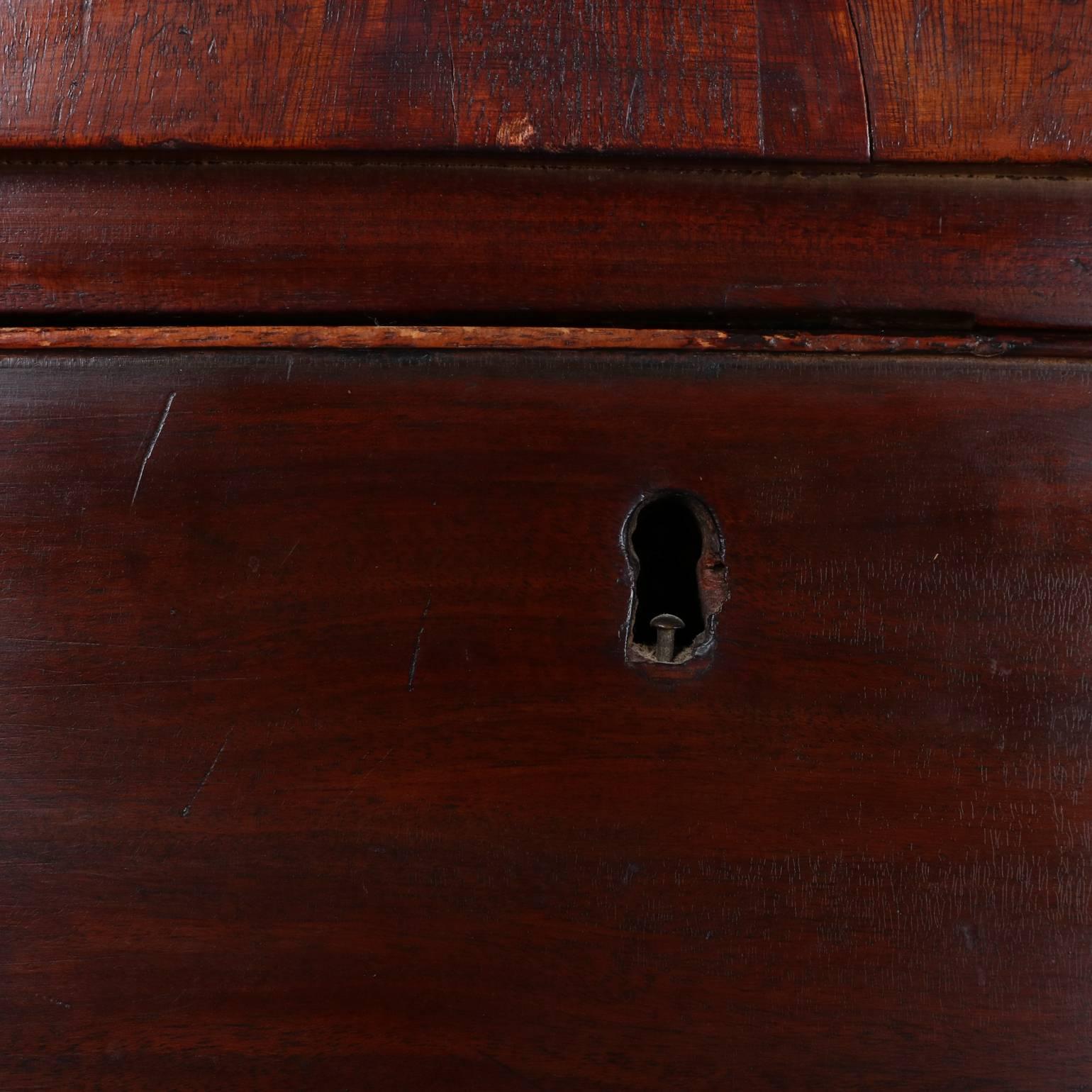 19th Century English Swell Front Mahogany Four-Drawer Chest 2