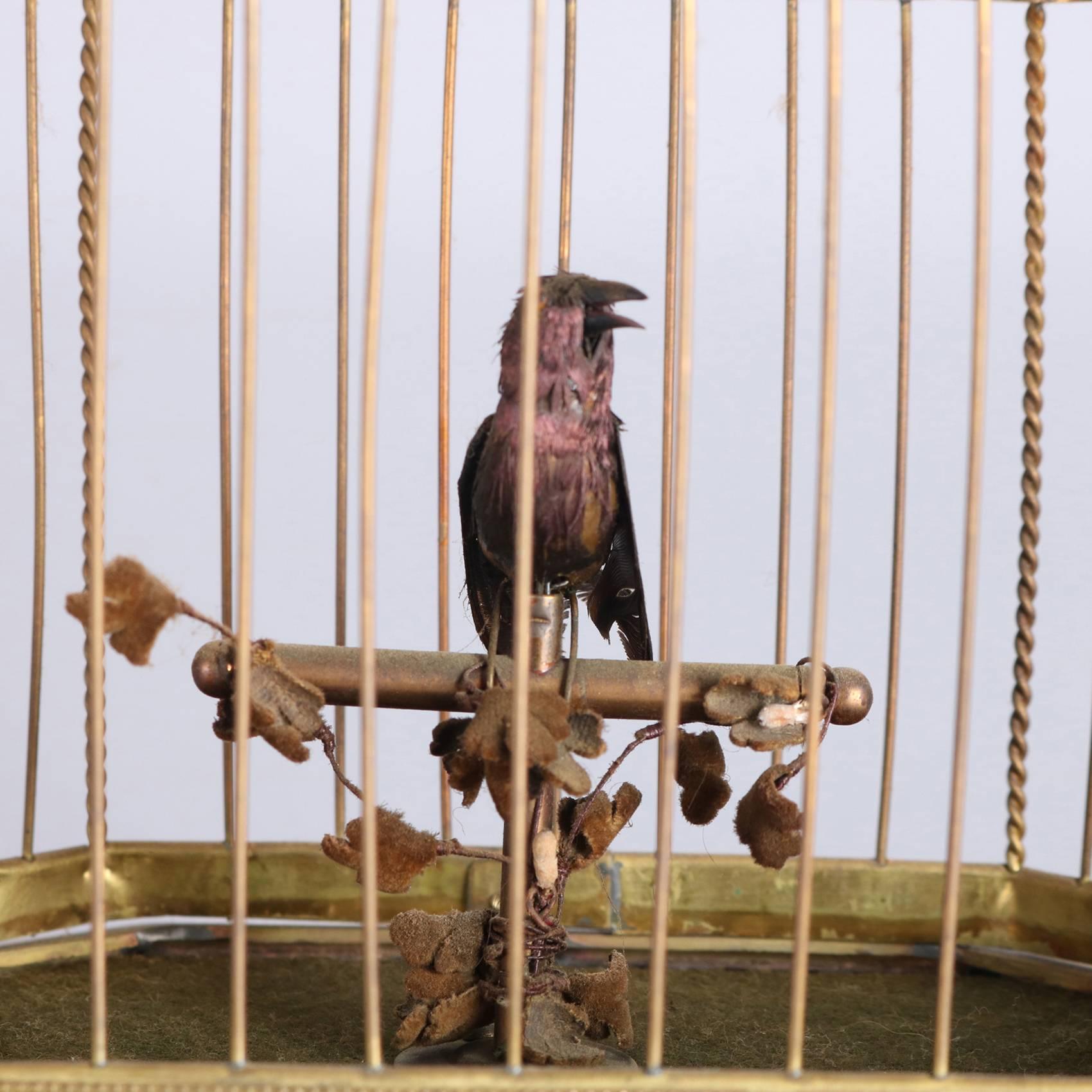 Vintage German Automaton Singing Bird in Cage, 20th Century 1