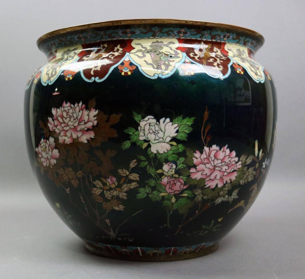 Oversized Japanese cloisonne jardiniere features enameled floral design with birds (doves) against blue/green ground, of the Meiji dynasty period, done in the Anglo-Japanese aesthetic, late 19th century.