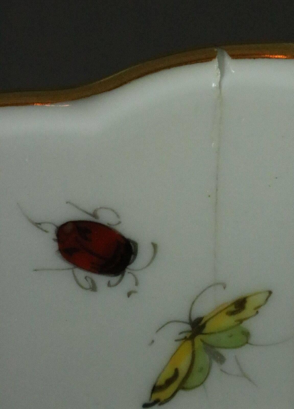 56 Piece Antique Hand-Painted Meissen Dinnerware, Flowers & Insects, circa 1890 2