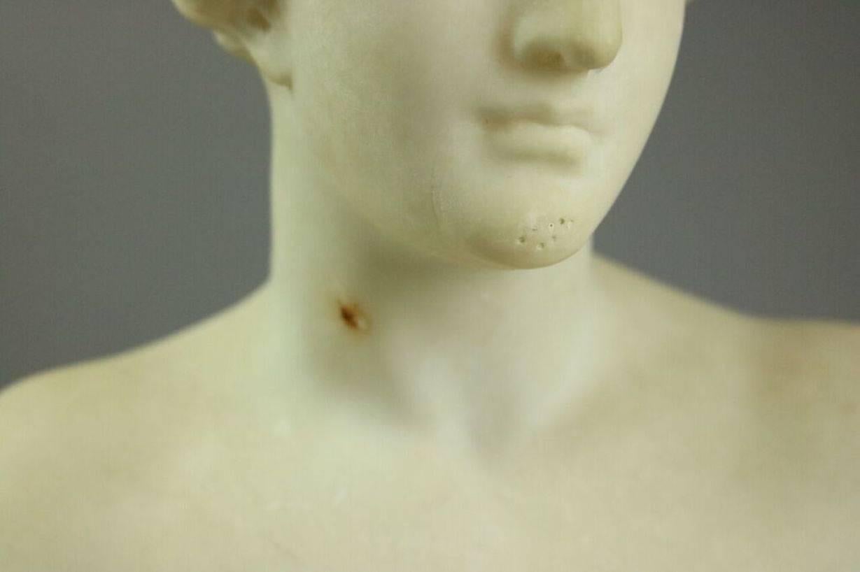 19th Century Antique Italian Classical Carved Alabaster Bust Venus De Milo, circa 1880