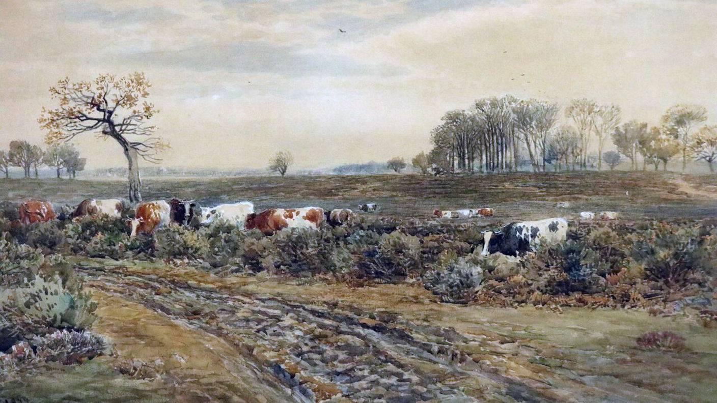 Antique framed Scottish watercolor painting entitled "Cattle in a Landscape" by J. McPherson, signed and dated 1879. John MacPherson (act.1858-1884) 

Measures: 22" H x 32" W x 1" D framed; 13" H x 23" W sight.