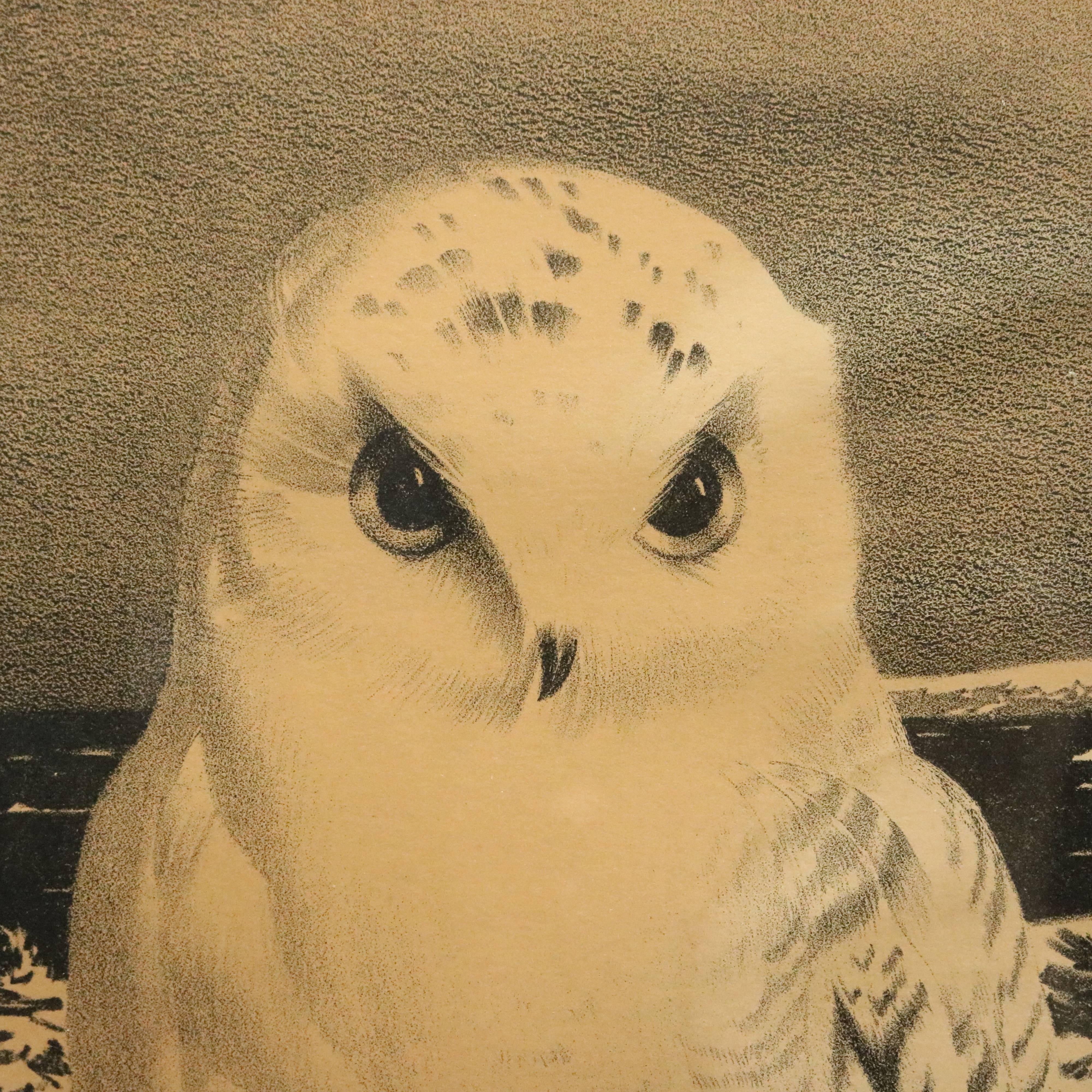 Antique framed lithograph depicts scene of snowy owl in landscape, pencil signed Stan Wengenroth lower right, pencil numbered lower left, circa 1930

Measures: 16" H x 22" W x .5" D framed; 10.5" H x 16" W.

BIOGRAPHY
Stow