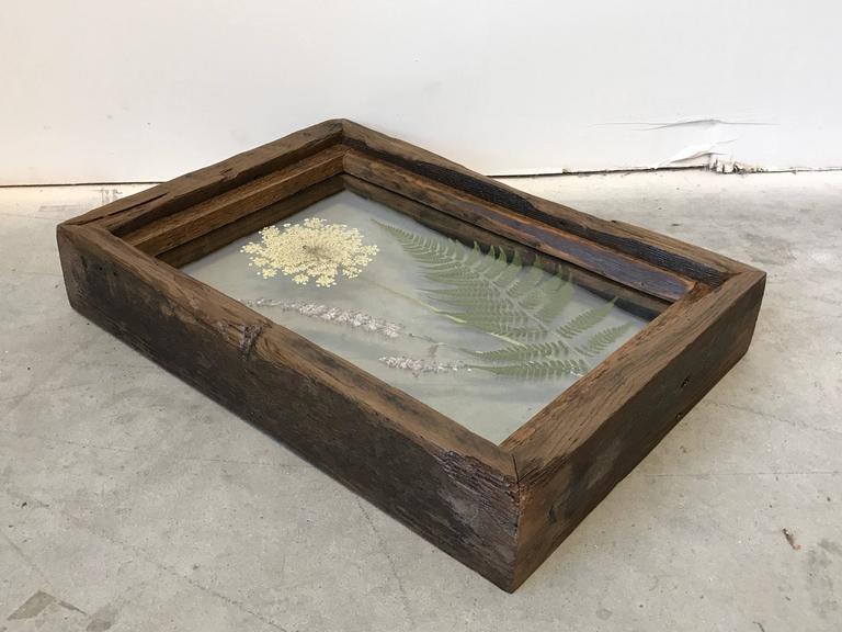 Pressed Flower Shadowbox by Alleywood Studios at 1stDibs