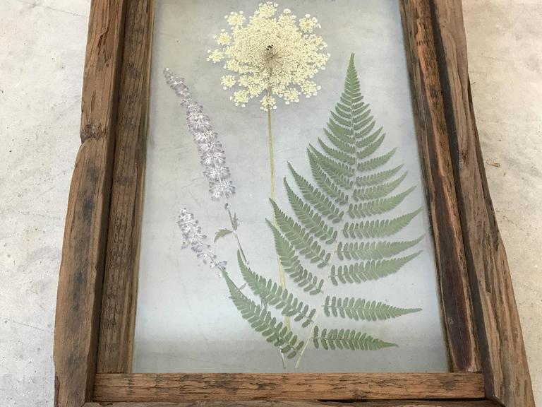 Pressed Flower Shadowbox by Alleywood Studios at 1stDibs