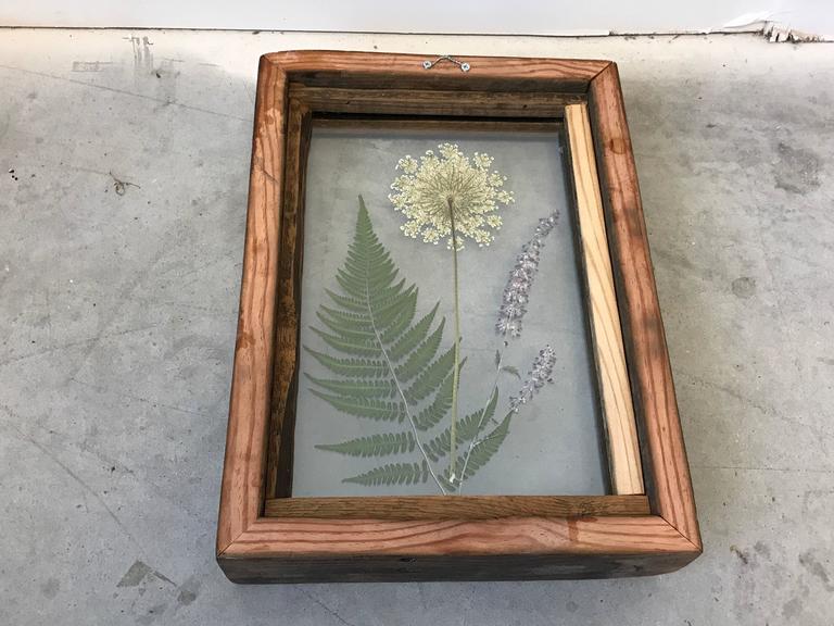 Pressed Flower Shadowbox by Alleywood Studios at 1stDibs