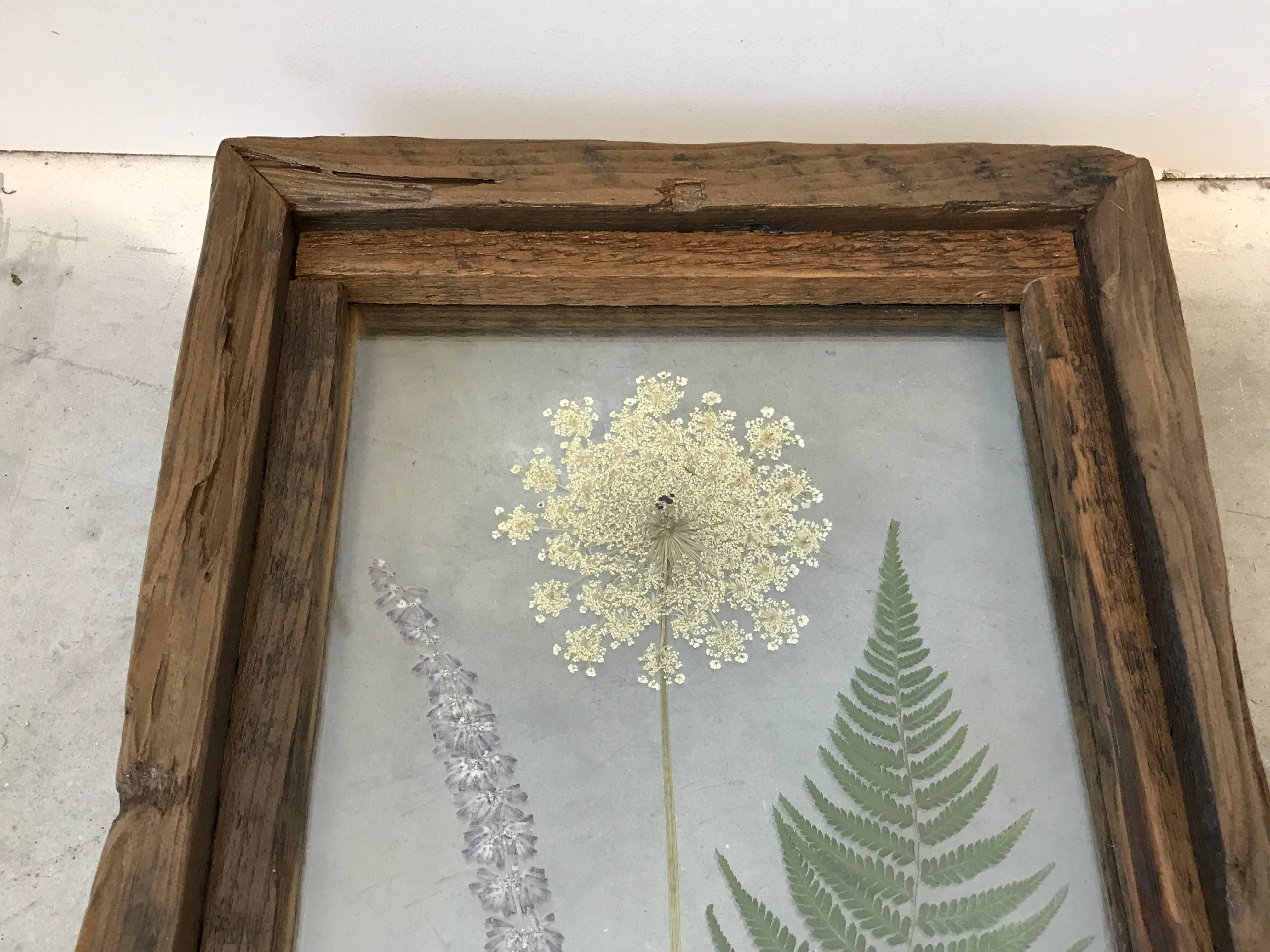 Delightful pressed floral wall decor featuring salvia, Queen Anne's lace, and a fern pressed between two pieces of glass. The frame is made of rough-hewn reclaimed wood, most likely antique pine by Richmond, Virginia designer Alleywood Studios.